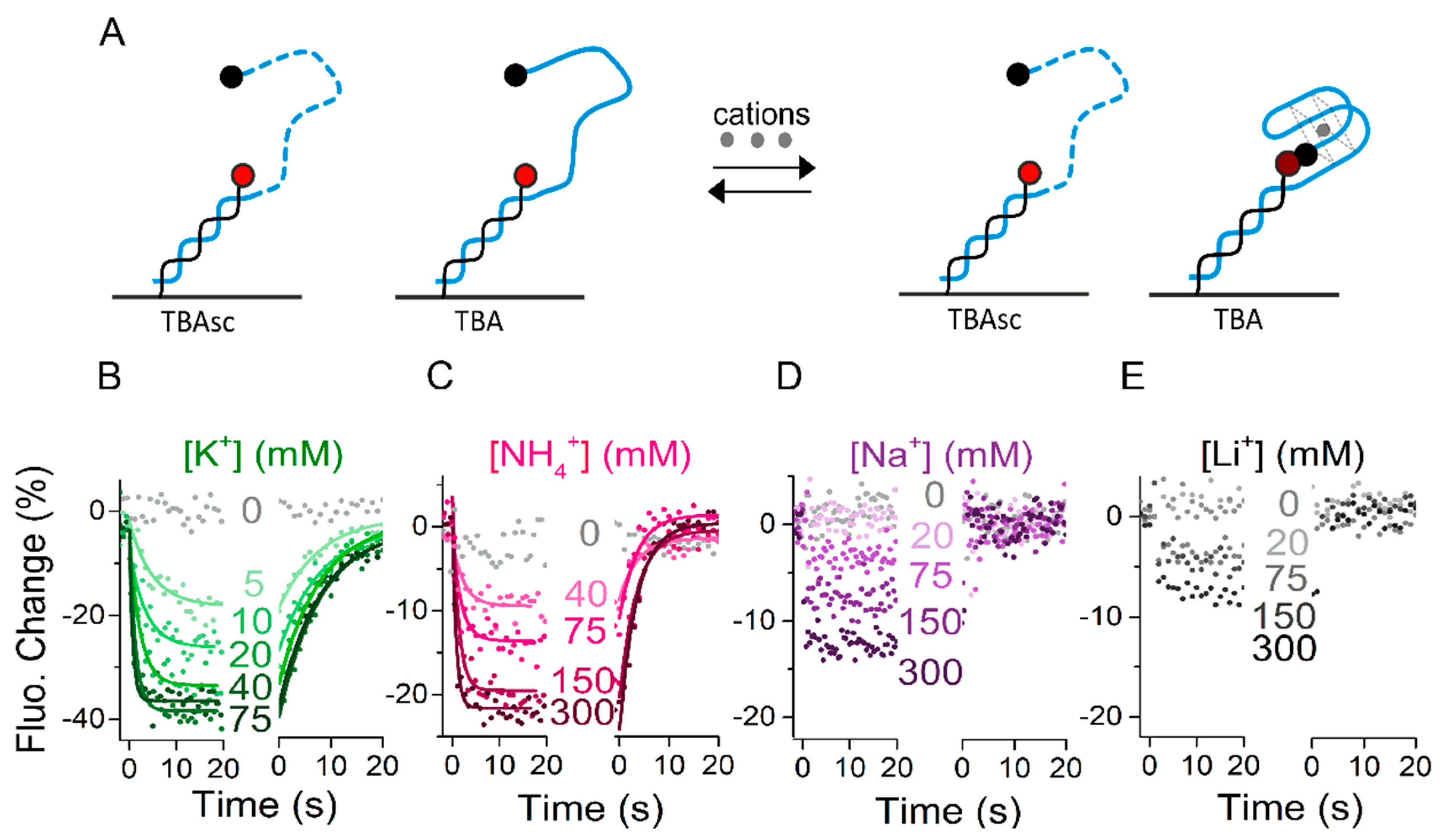 Molecules 24 02877 g002 Molecules 24 02877 g002