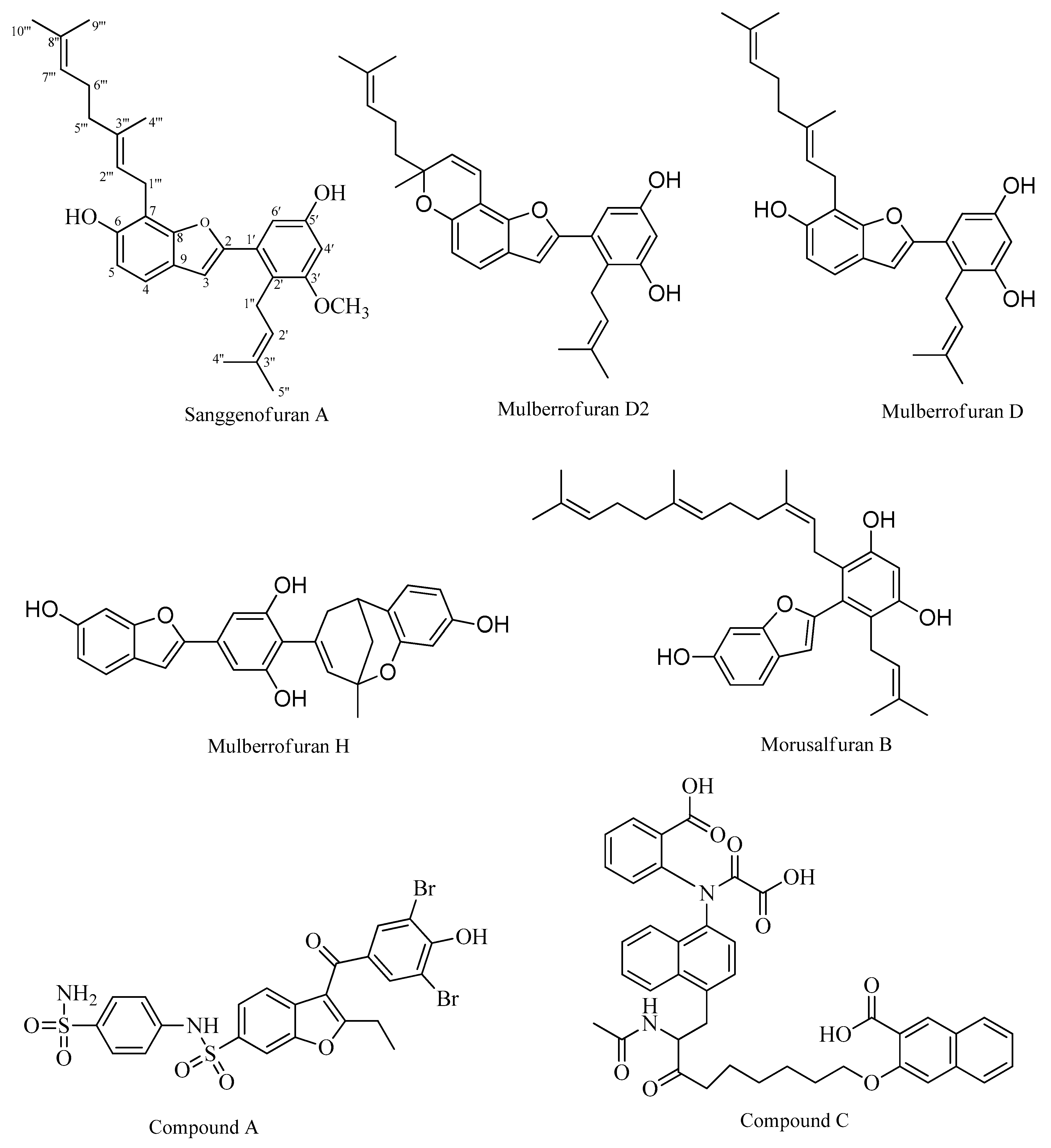 Molecules 24 02893 g001