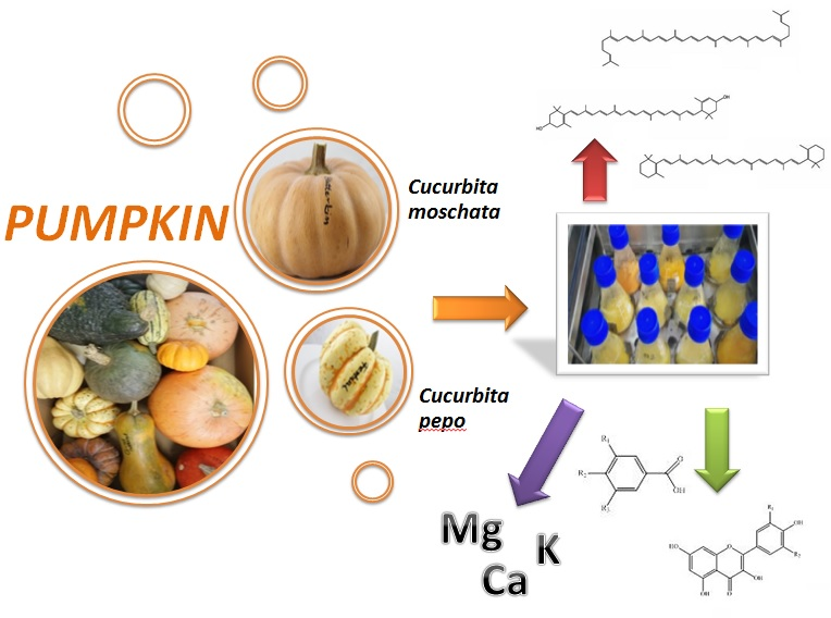 Molecules | Free Full-Text | The Profile of Secondary Metabolites and Other  Bioactive Compounds in Cucurbita pepo L. and Cucurbita moschata Pumpkin  Cultivars | HTML