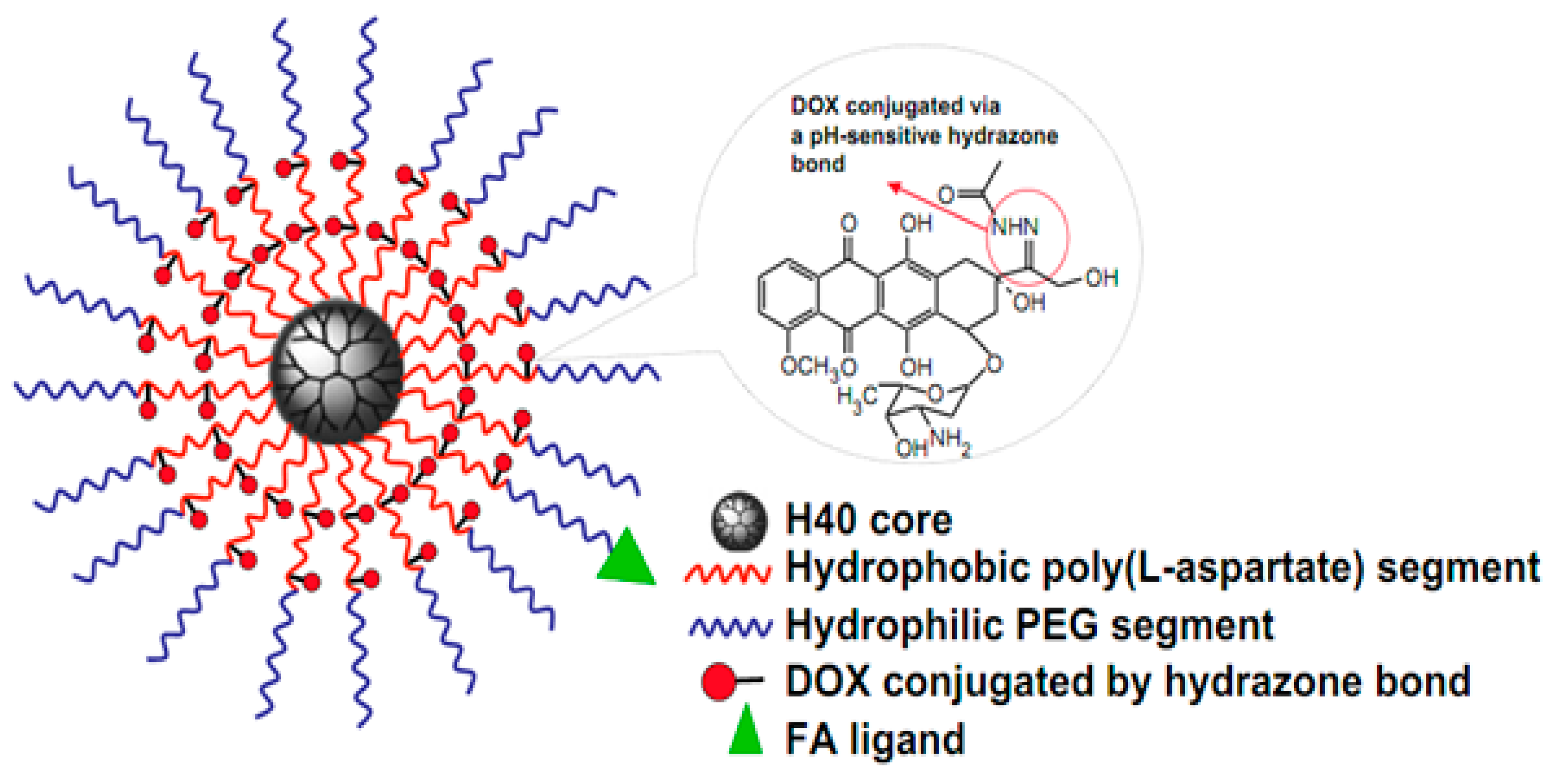 Molecules 24 02961 g006 Molecules 24 02961 g006