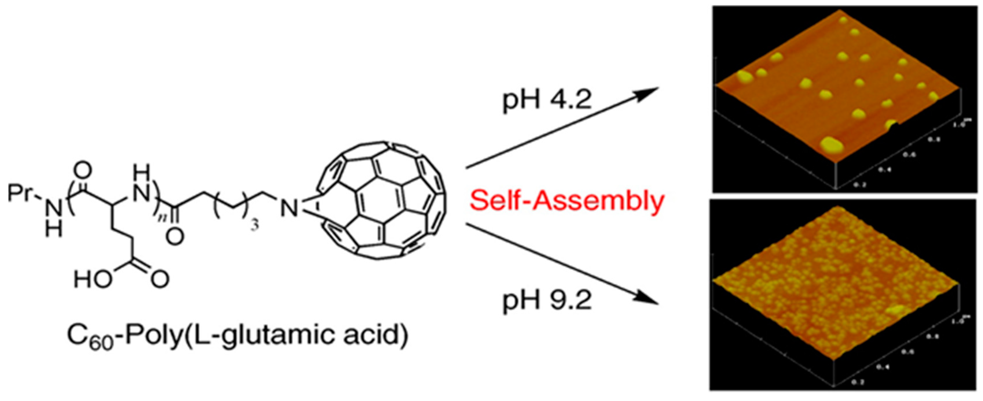 Molecules 24 02961 g011 Molecules 24 02961 g011