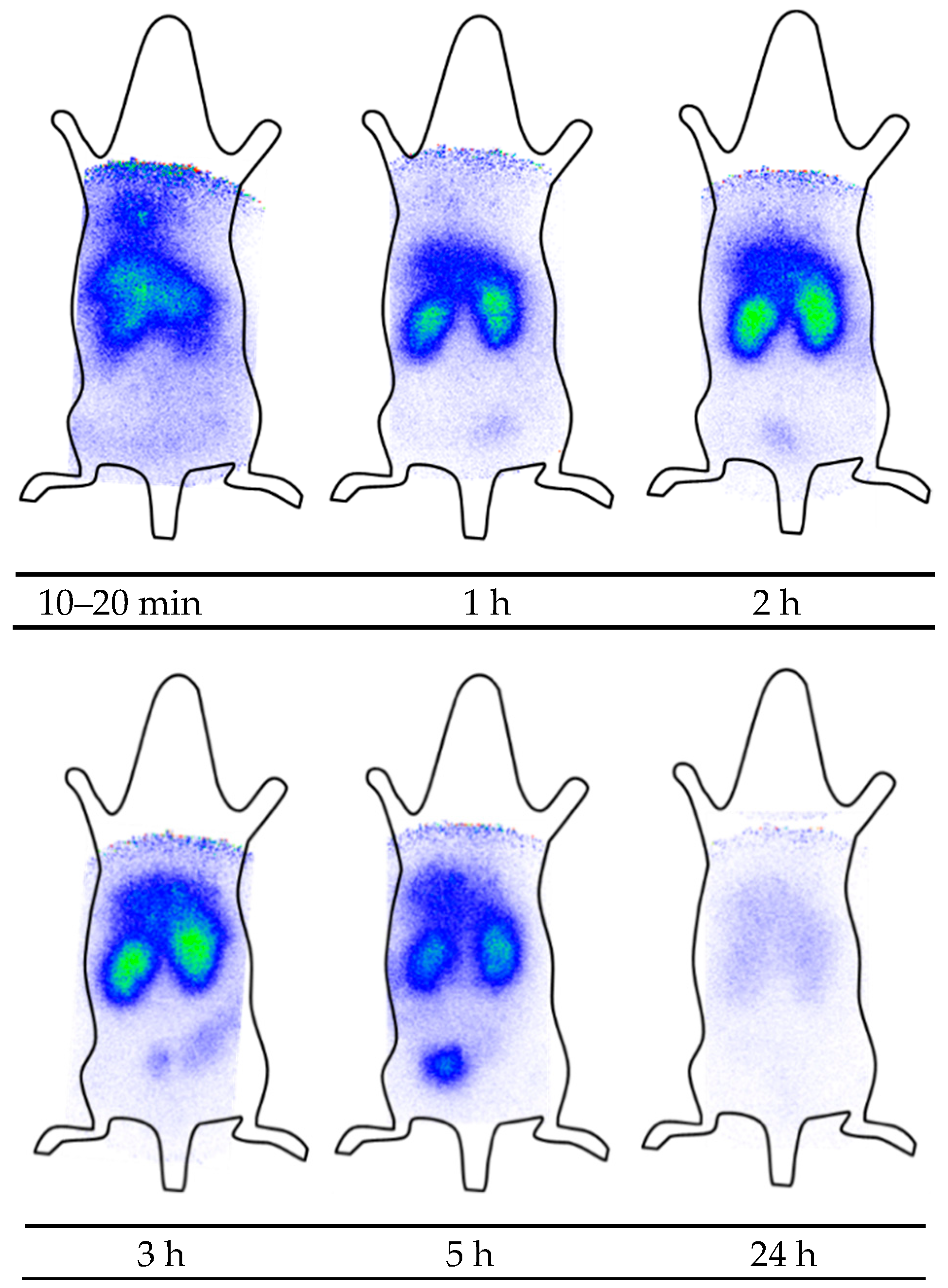Molecules 24 02987 g003 Molecules 24 02987 g003