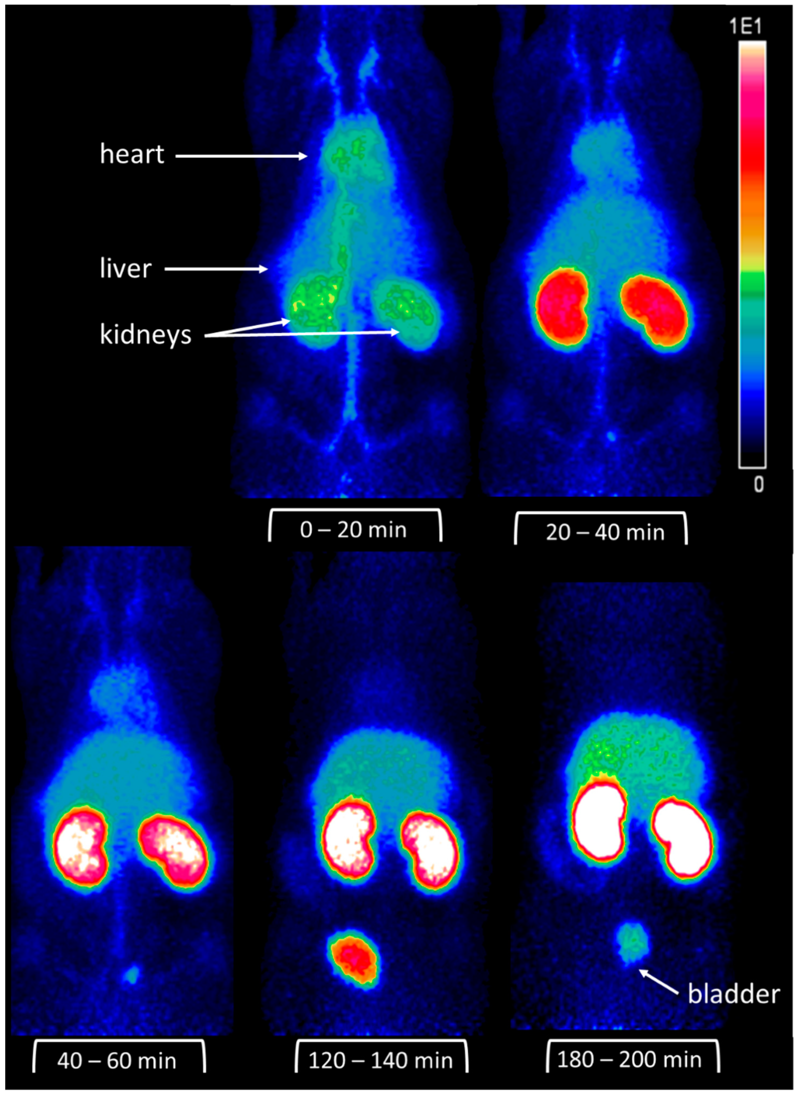 Molecules 24 02987 g004 Molecules 24 02987 g004