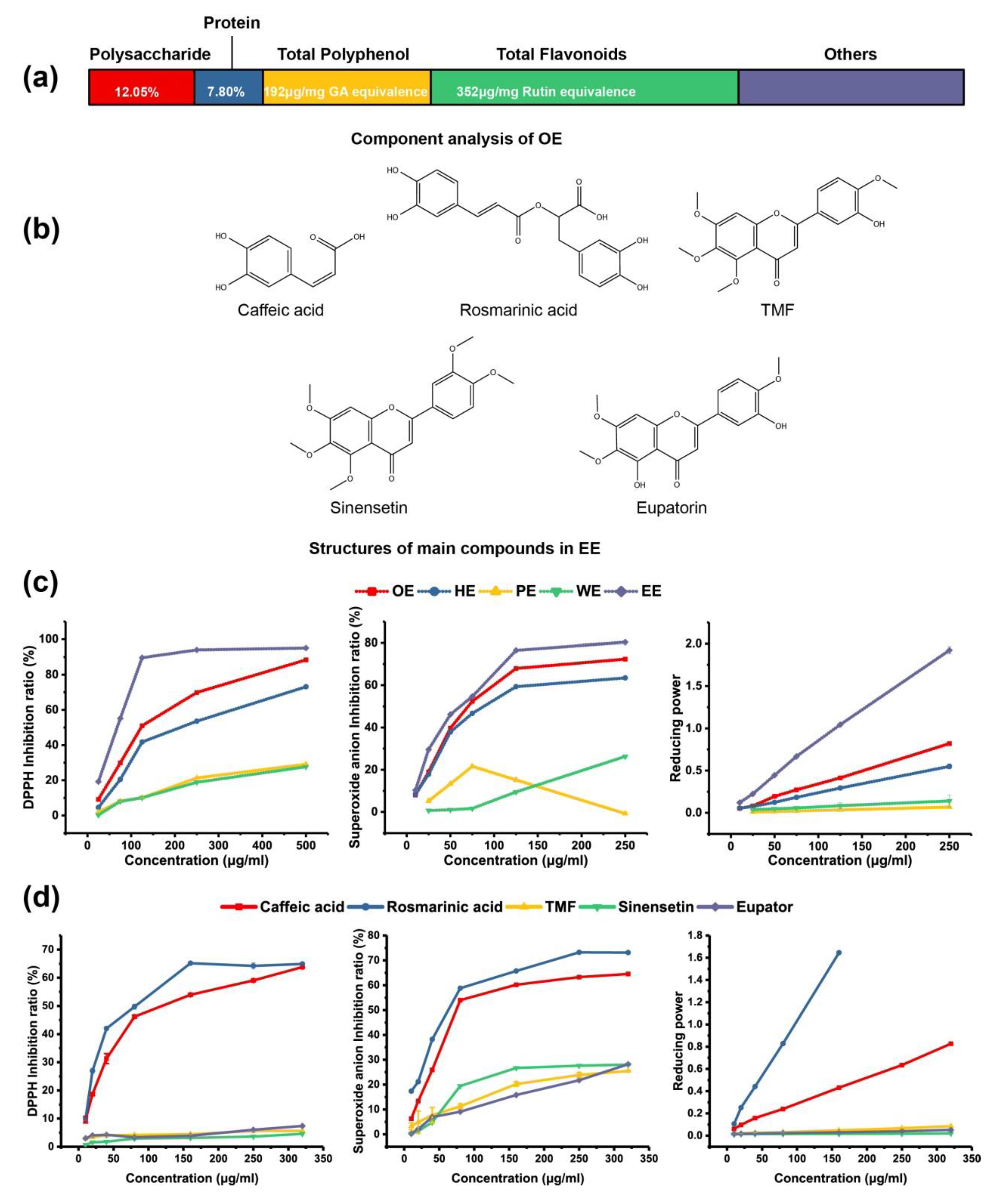 Molecules  Free Full-Text  Rosmarinic Acid, the Main Effective 