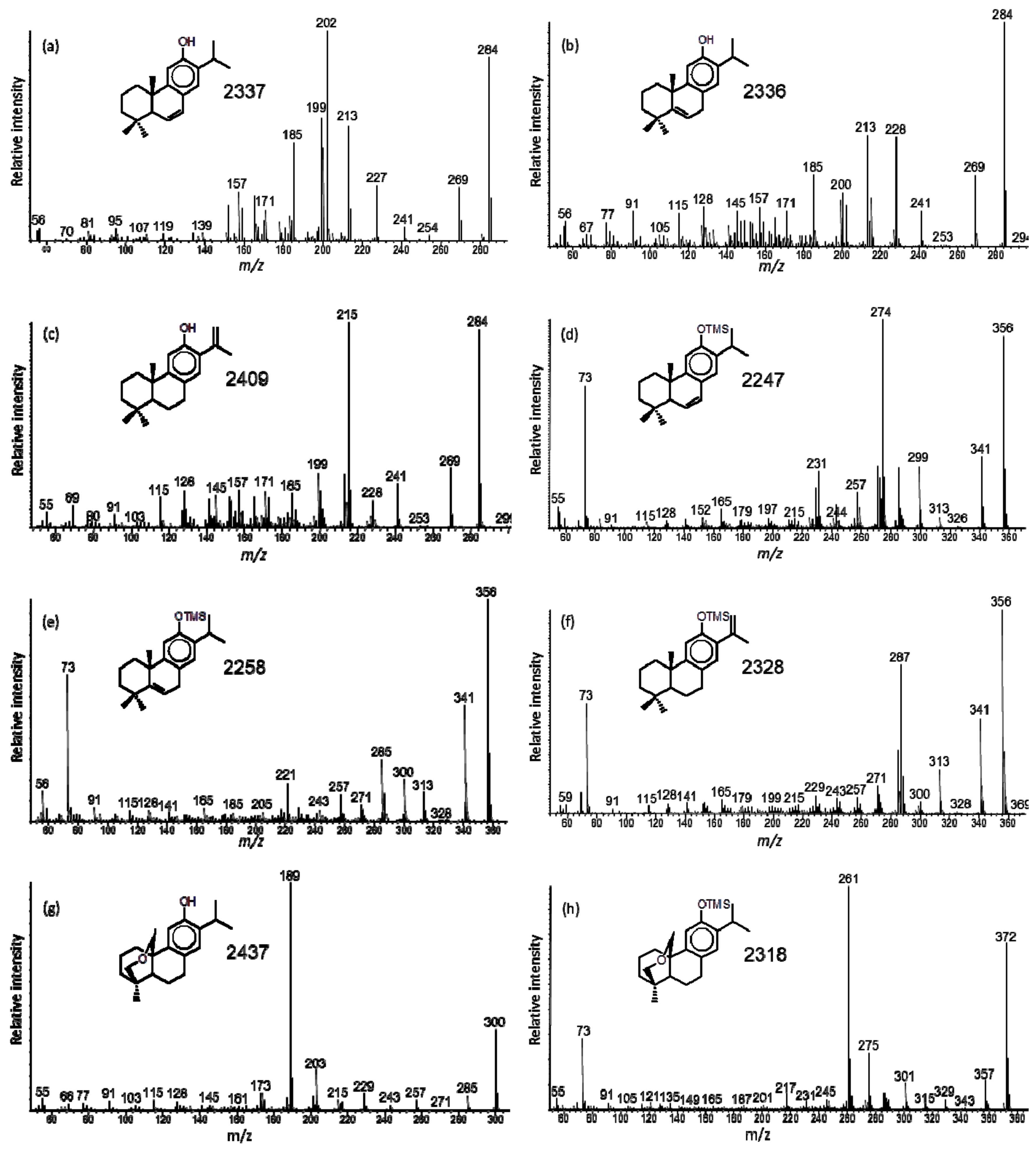 Molecules Free Full Text Terpenoids Of The Swamp Cypress Subfamily Taxodioideae Cupressaceae An Overview By Gc Ms Html