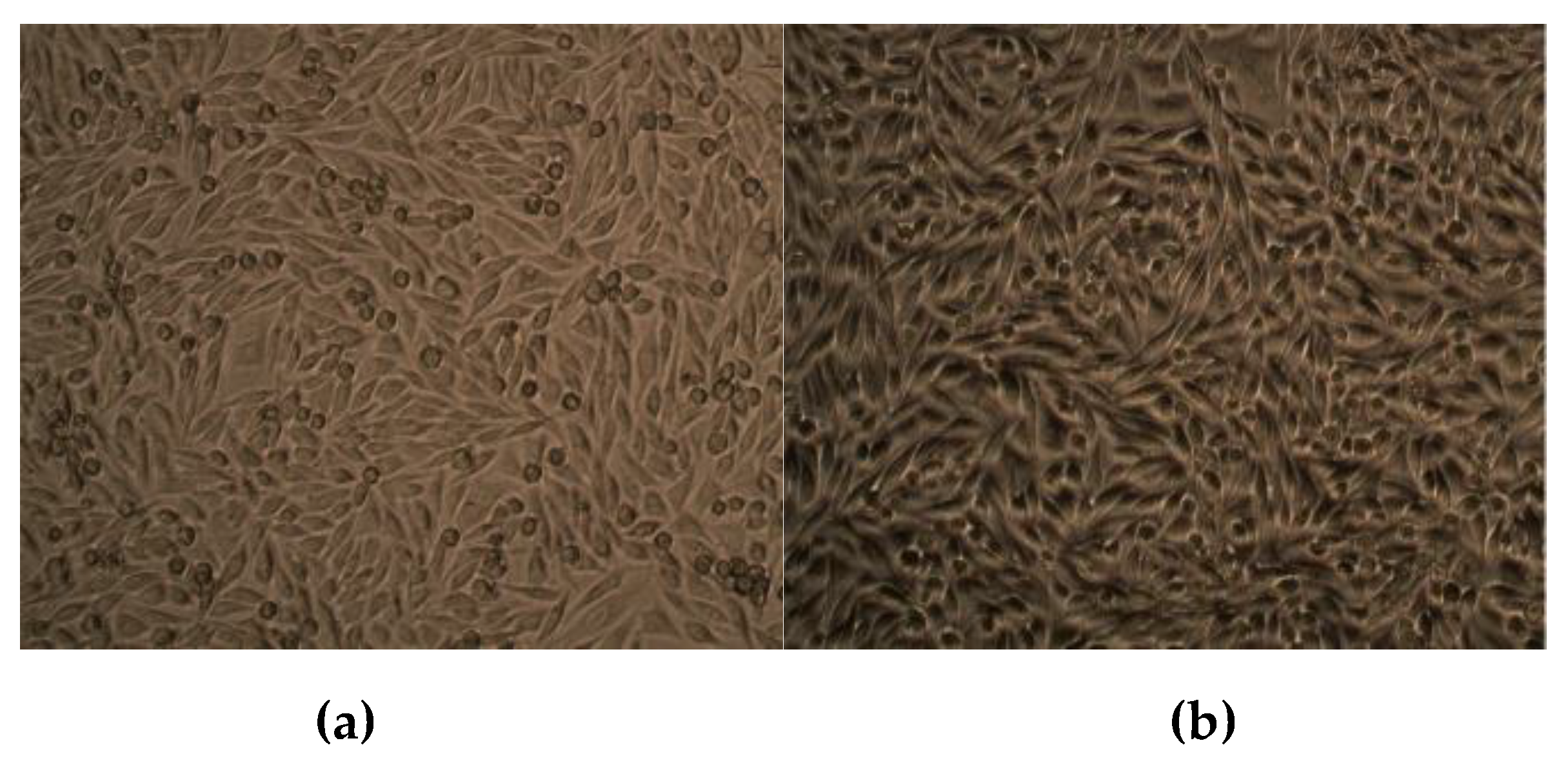 Molecules 24 03055 g007 Molecules 24 03055 g007