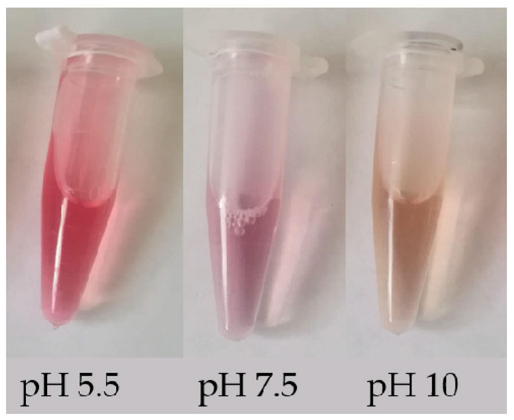 Molecules 24 03078 g002