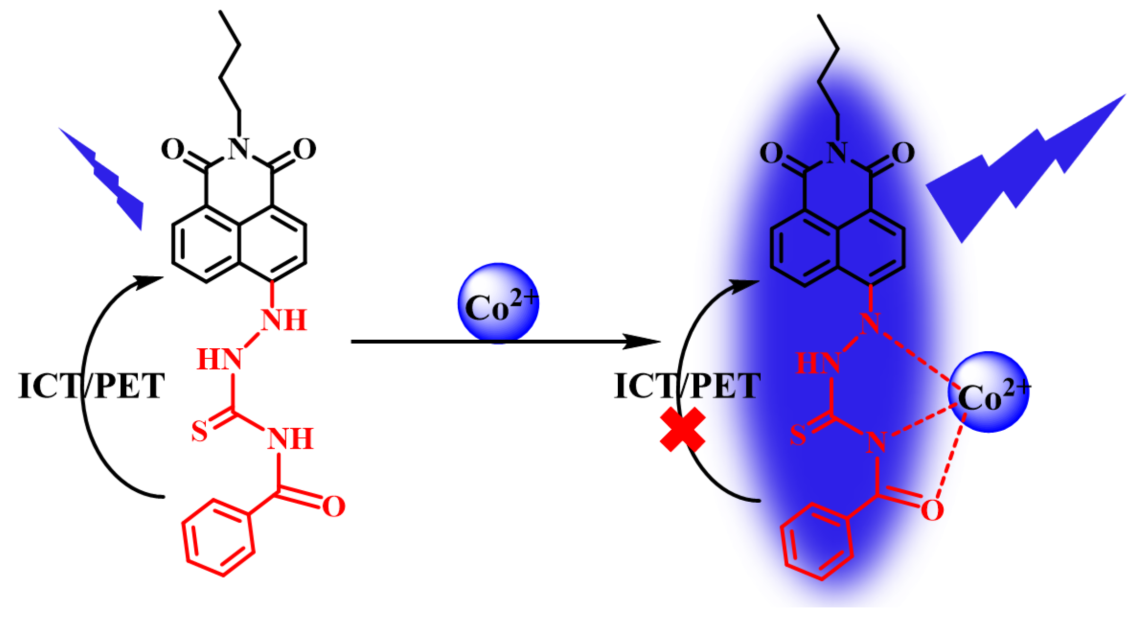 Molecules 24 03093 sch002