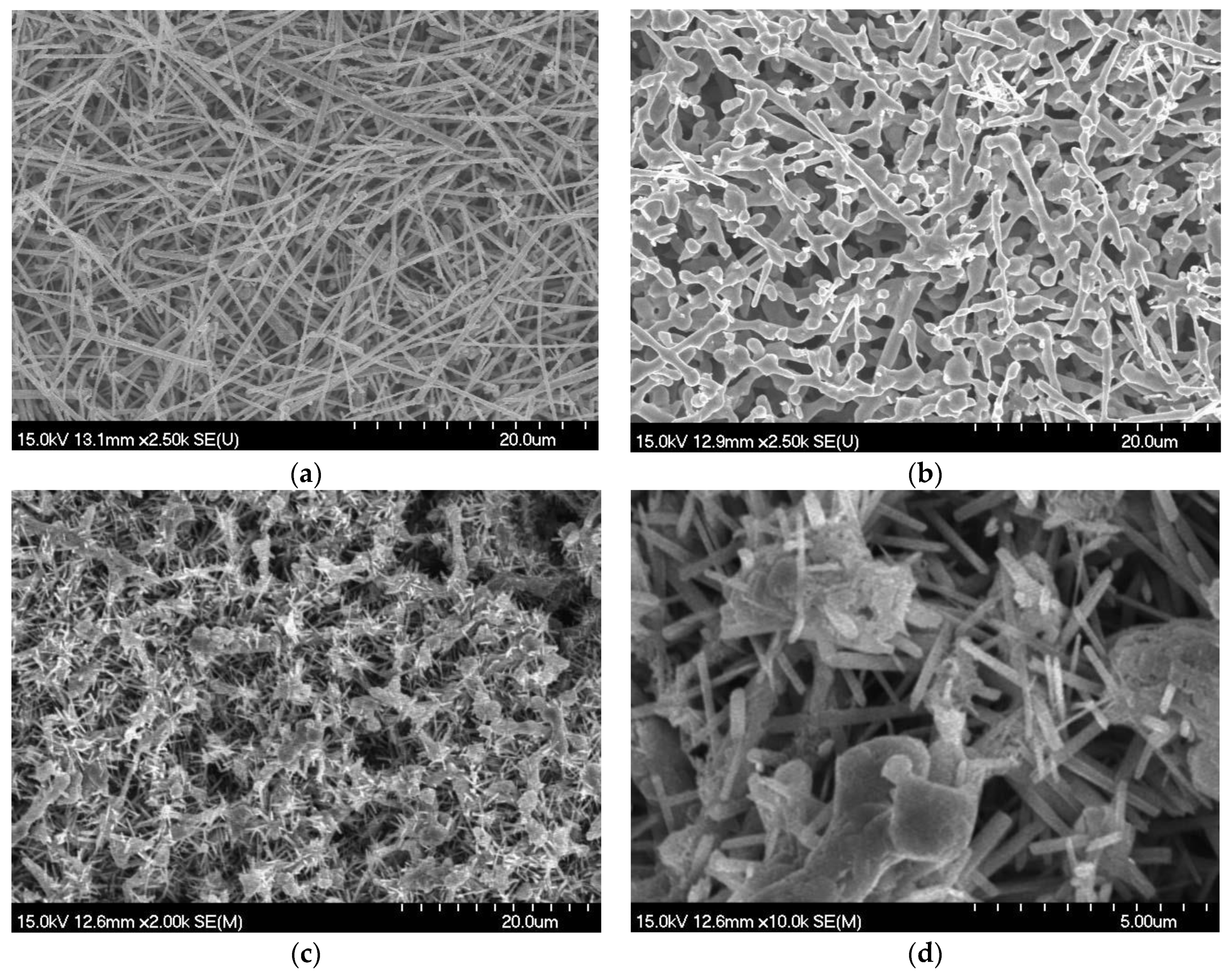 Molecules 24 03132 g001