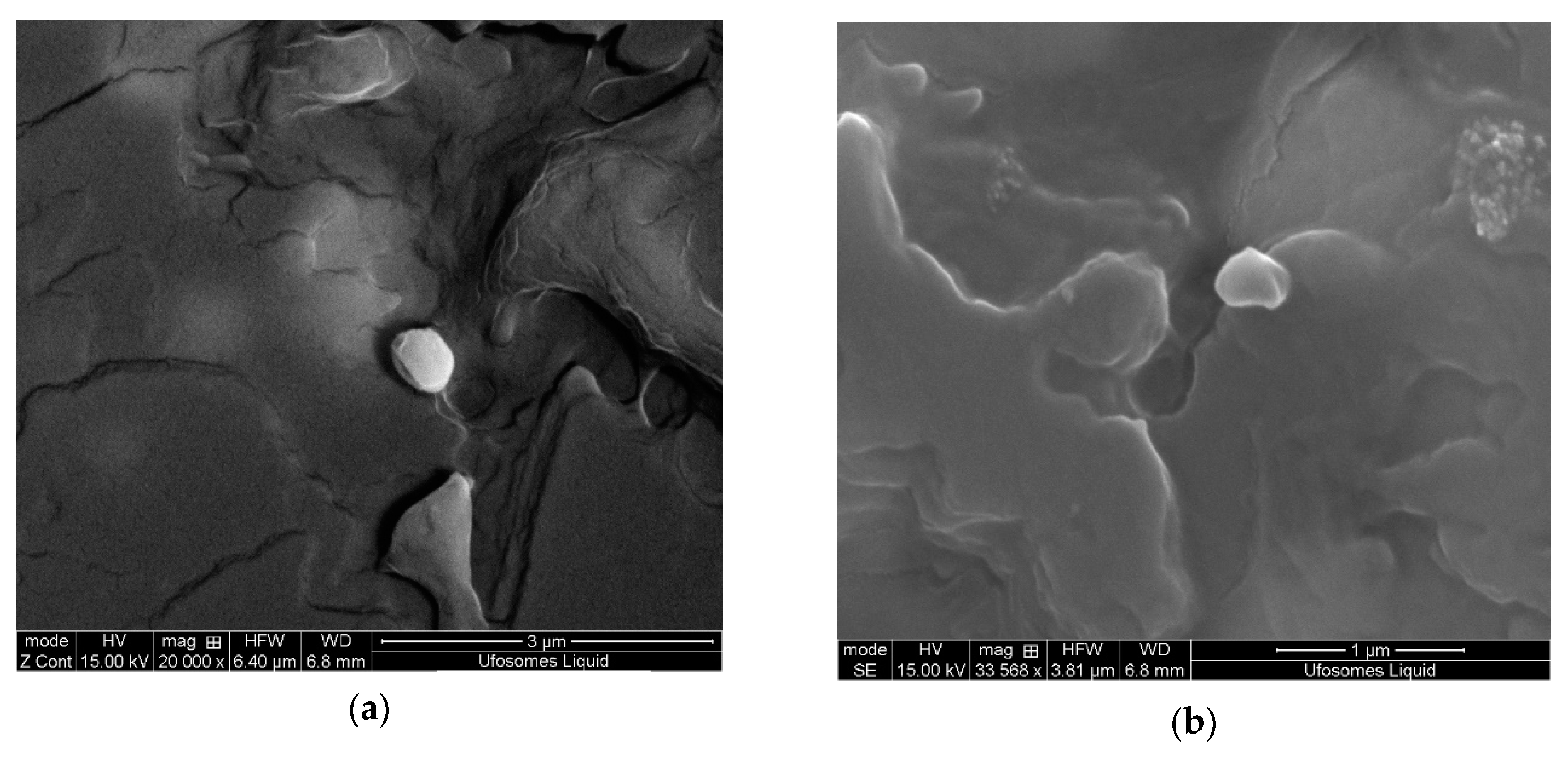 Molecules 24 03139 g003 Molecules 24 03139 g003
