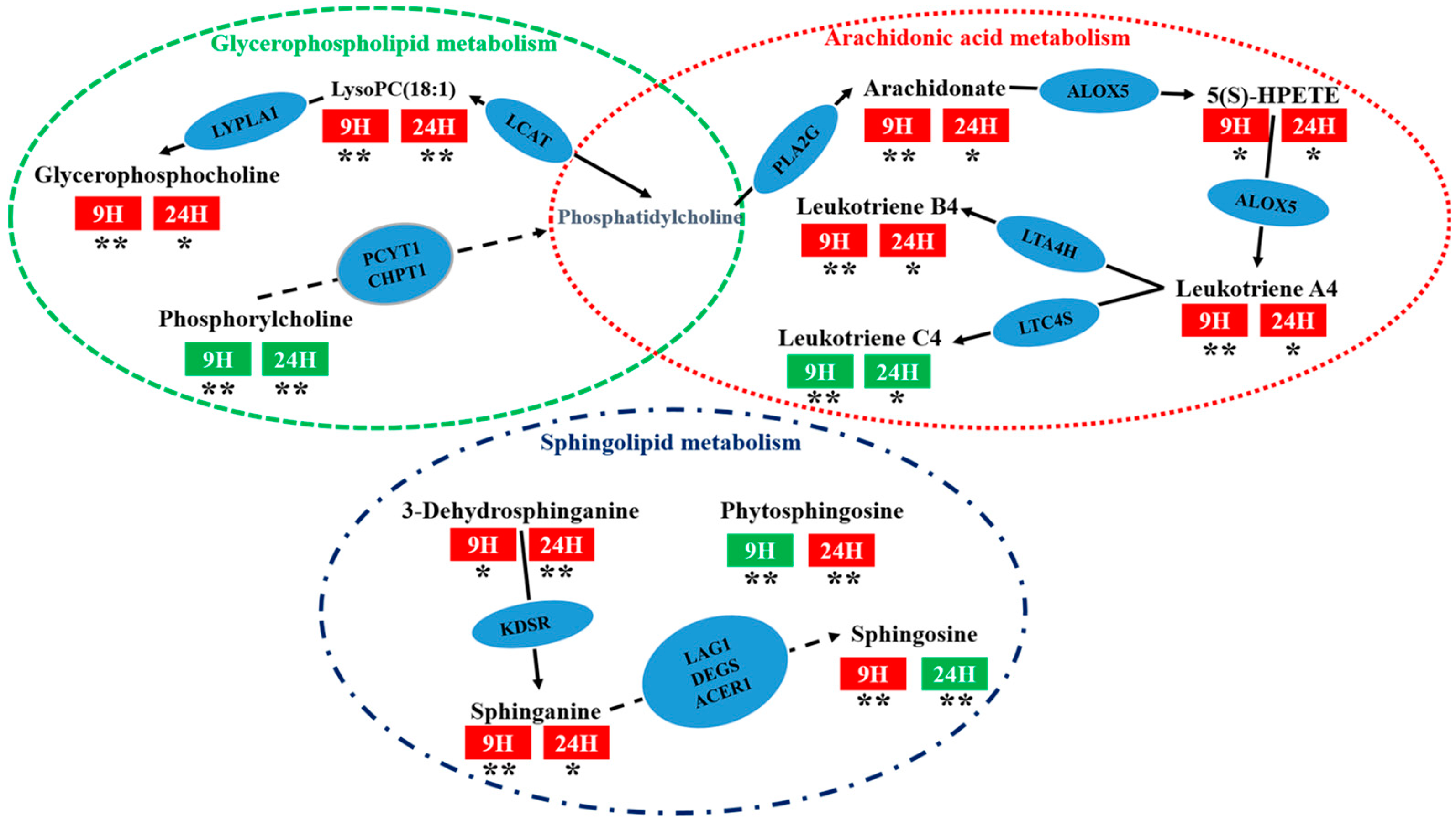 Molecules 24 03161 g008 Molecules 24 03161 g008
