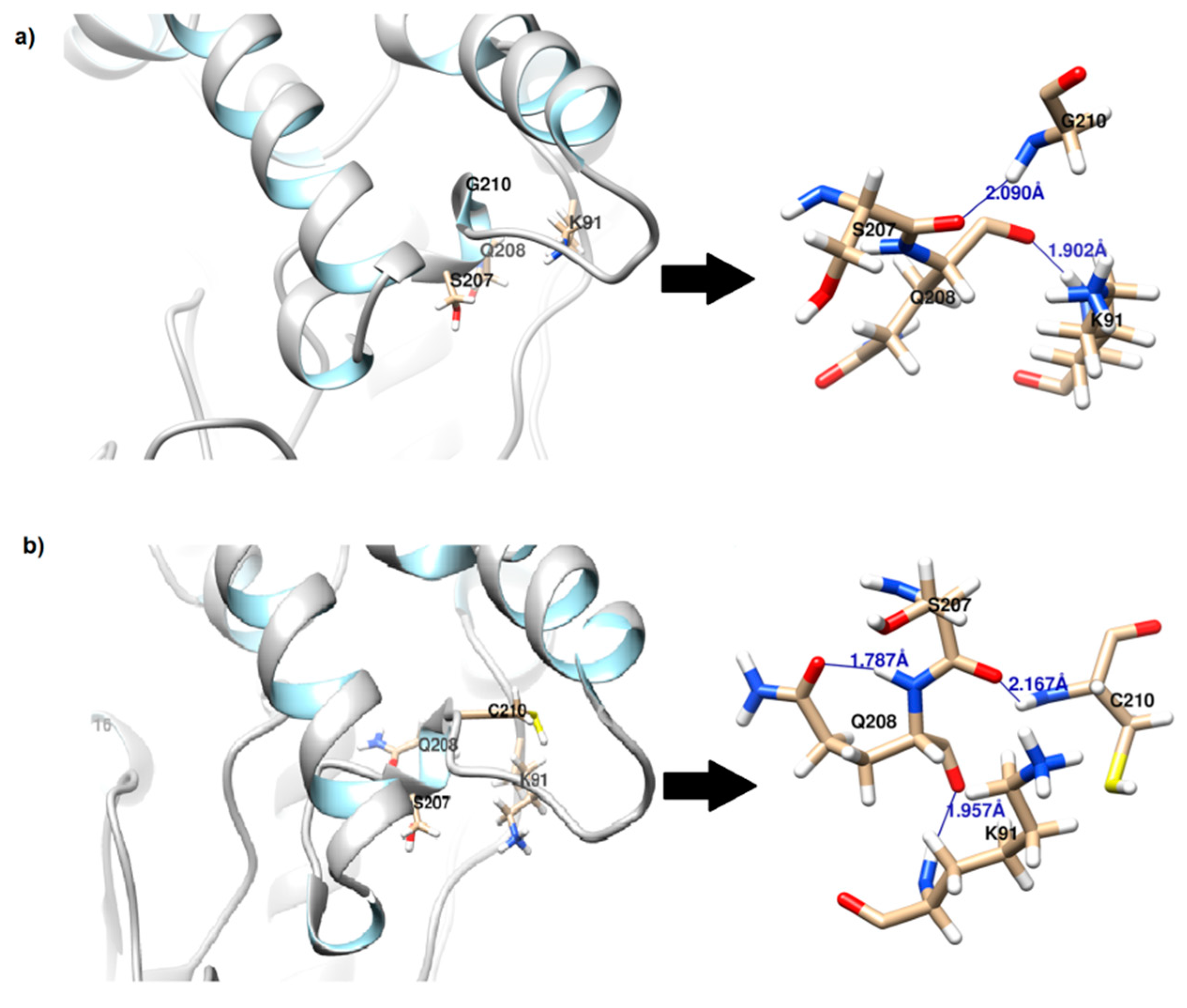 Molecules 24 03169 g002 Molecules 24 03169 g002