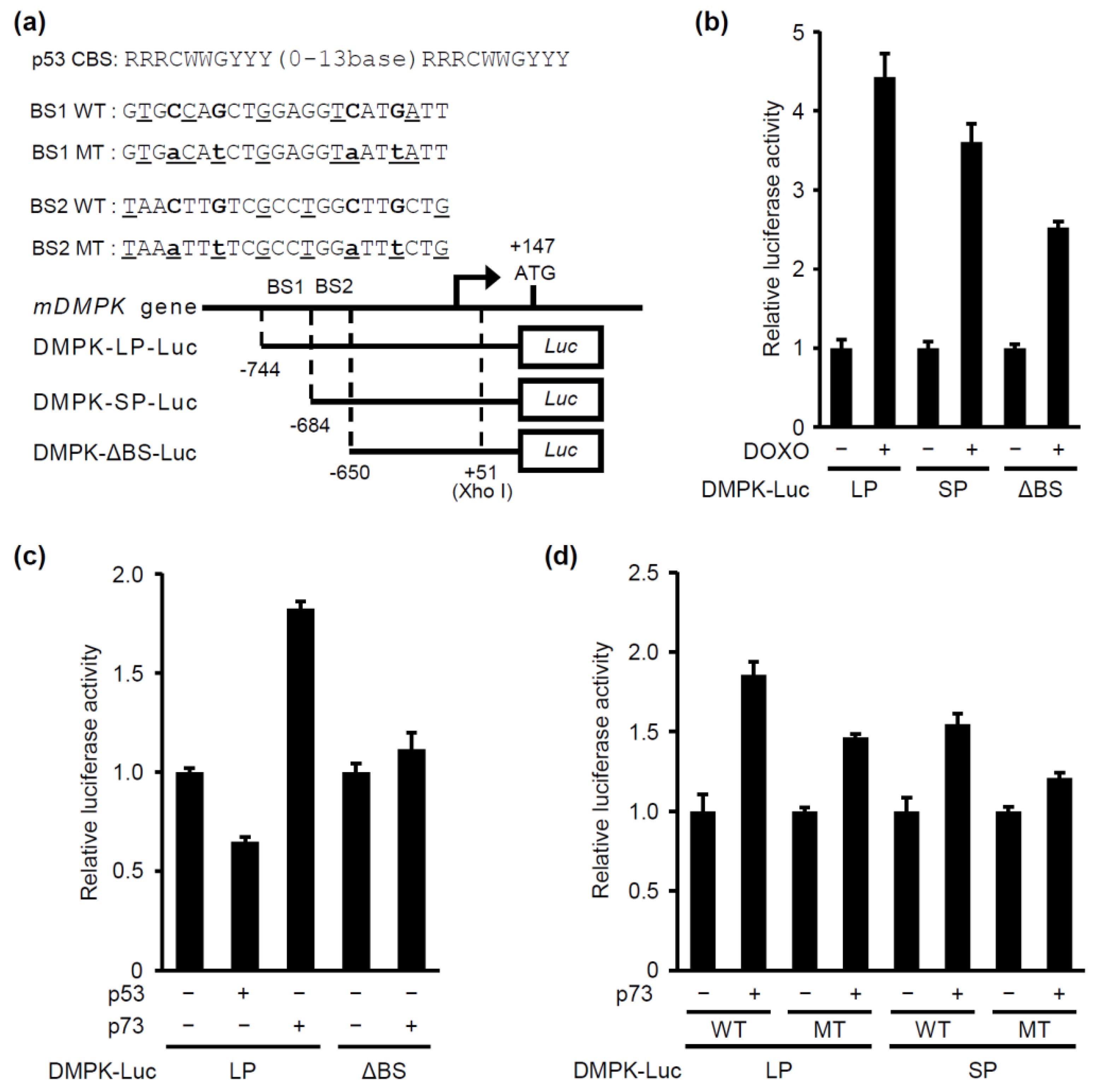 Molecules 24 03175 g002