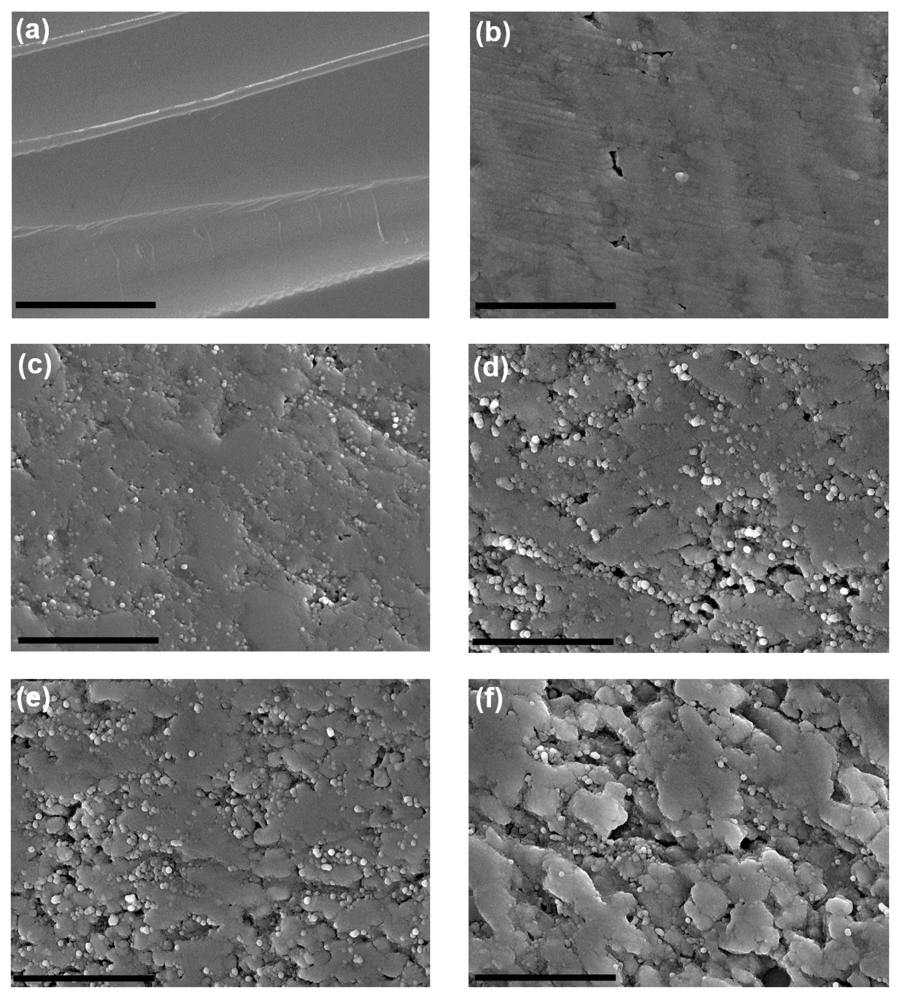 Molecules 24 03176 g005