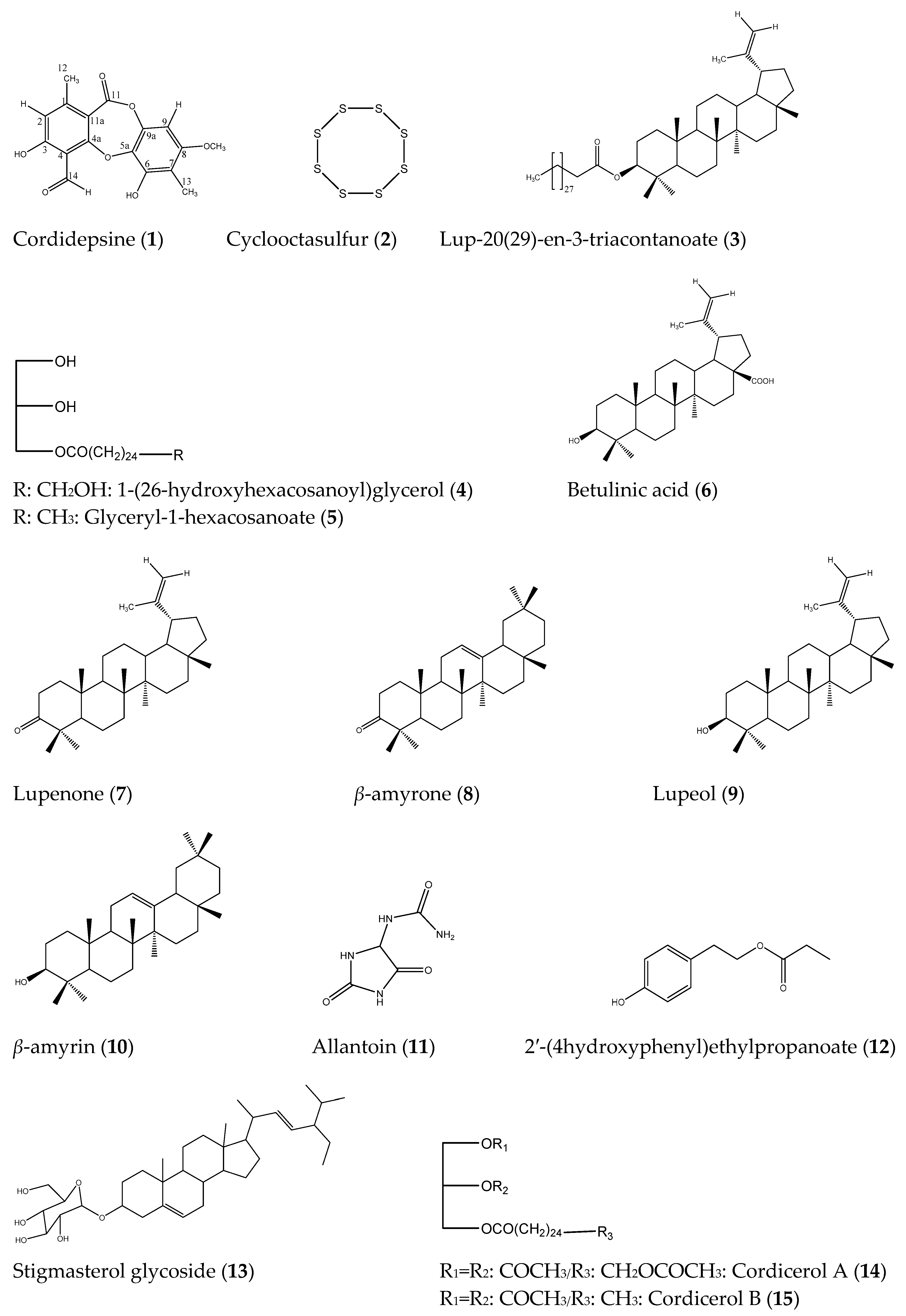 Molecules 24 03202 g001 Molecules 24 03202 g001