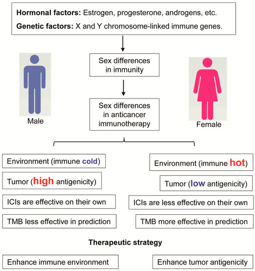 Molecules Free Full Text Sex Differences In Cancer Immunotherapy