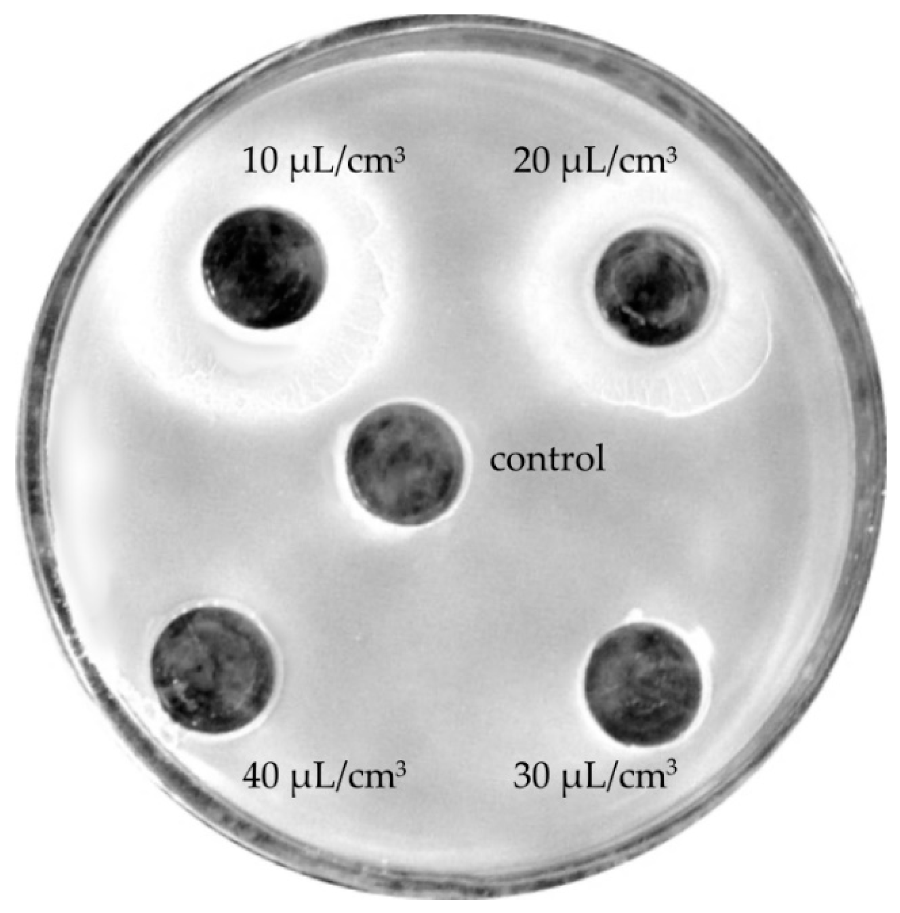 Molecules 24 03270 g005