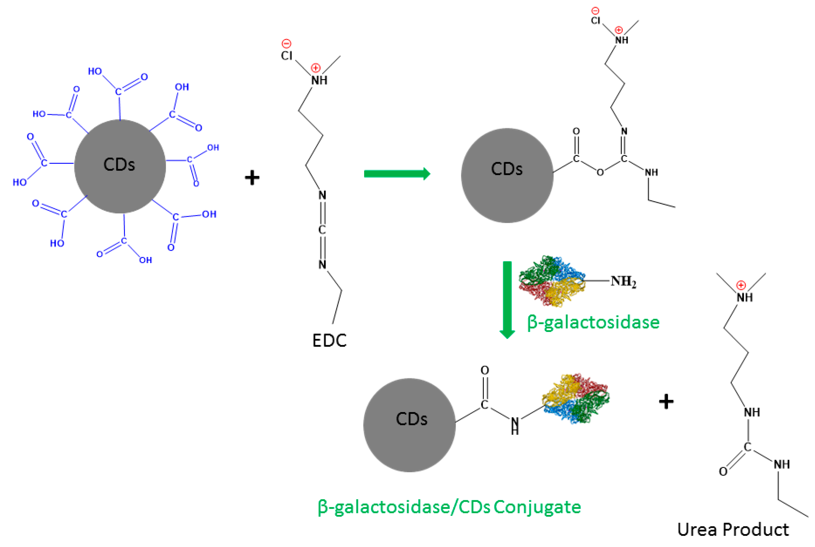Molecules 24 03275 sch001 Molecules 24 03275 sch001