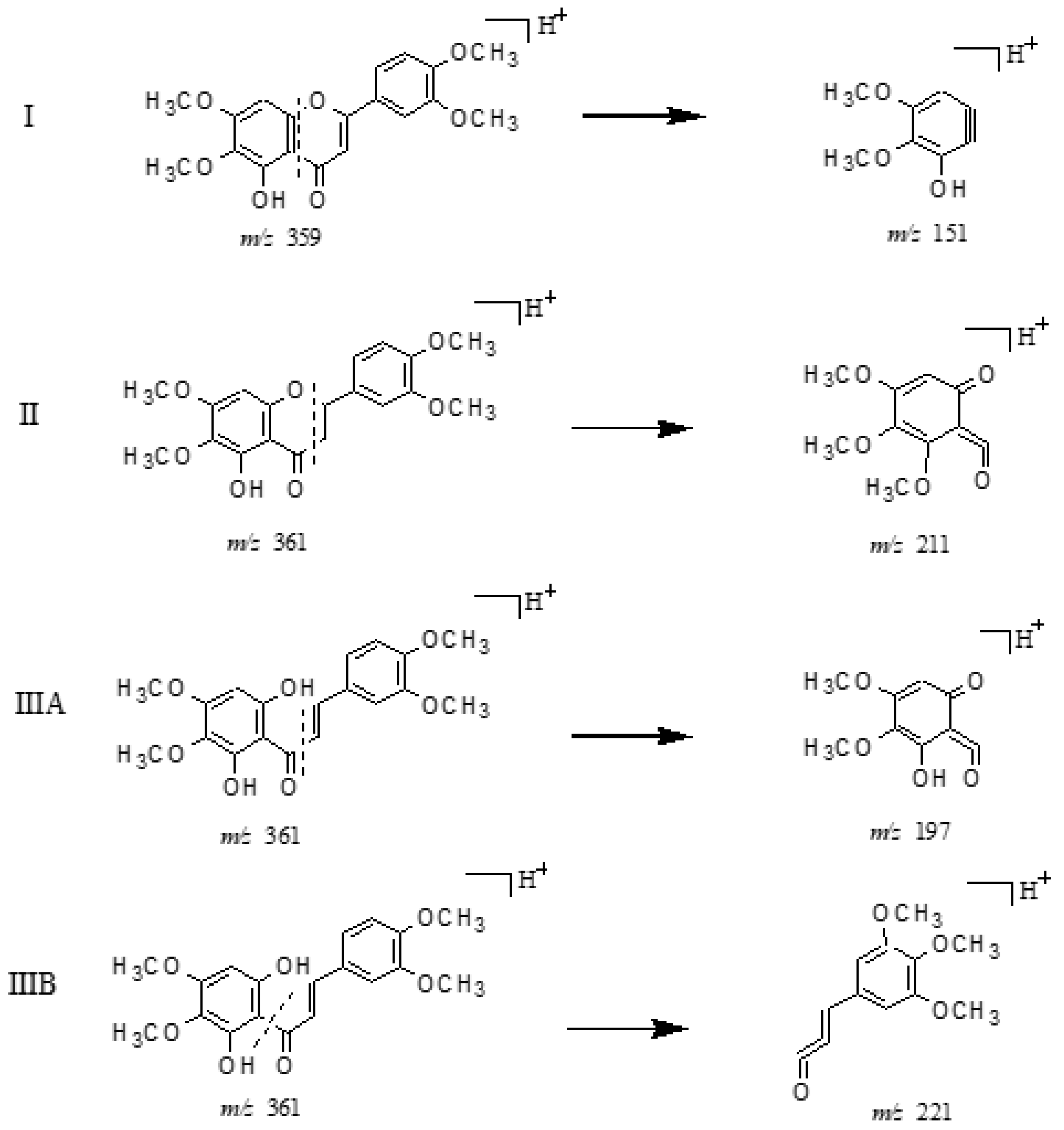 Molecules 24 03278 g003