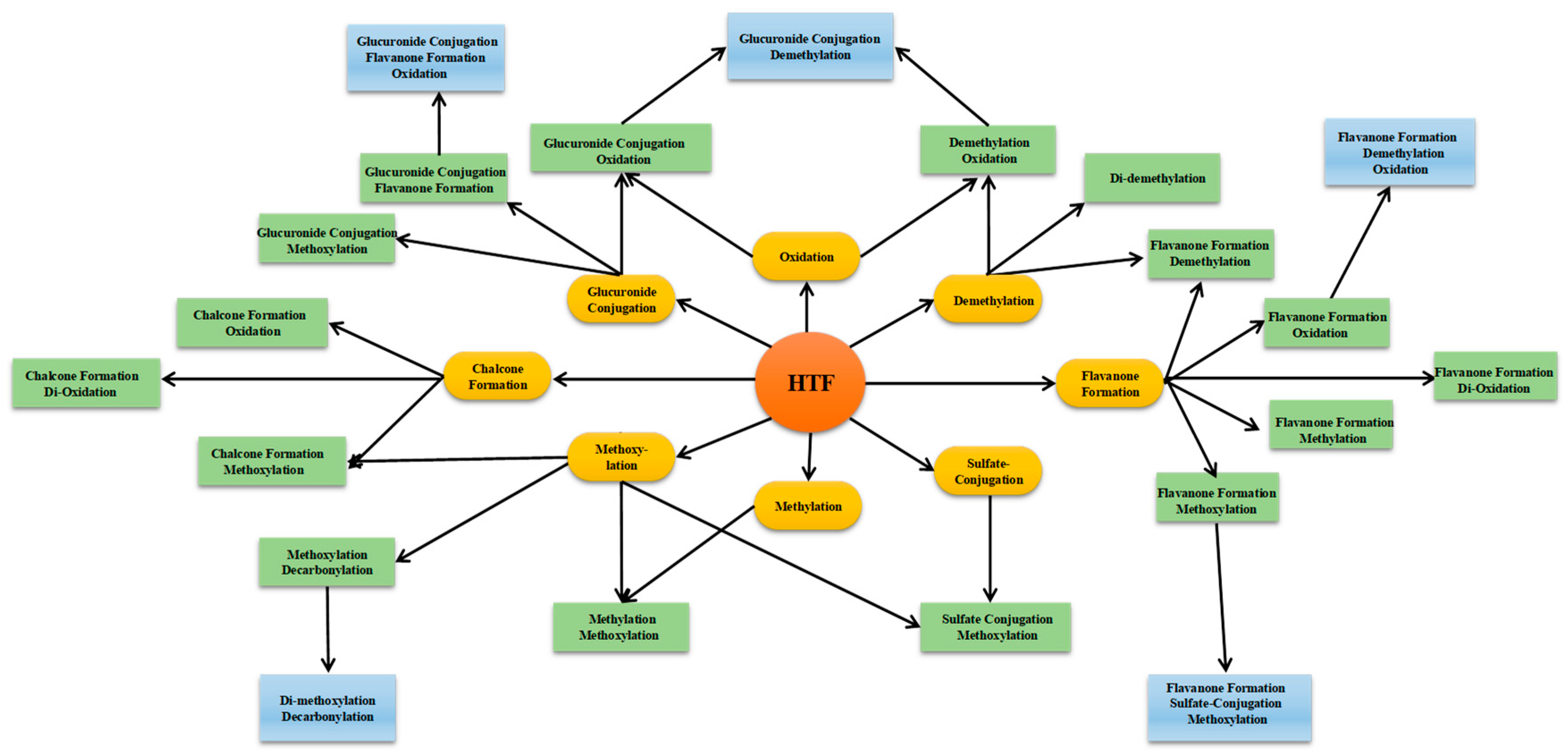Molecules 24 03278 g005