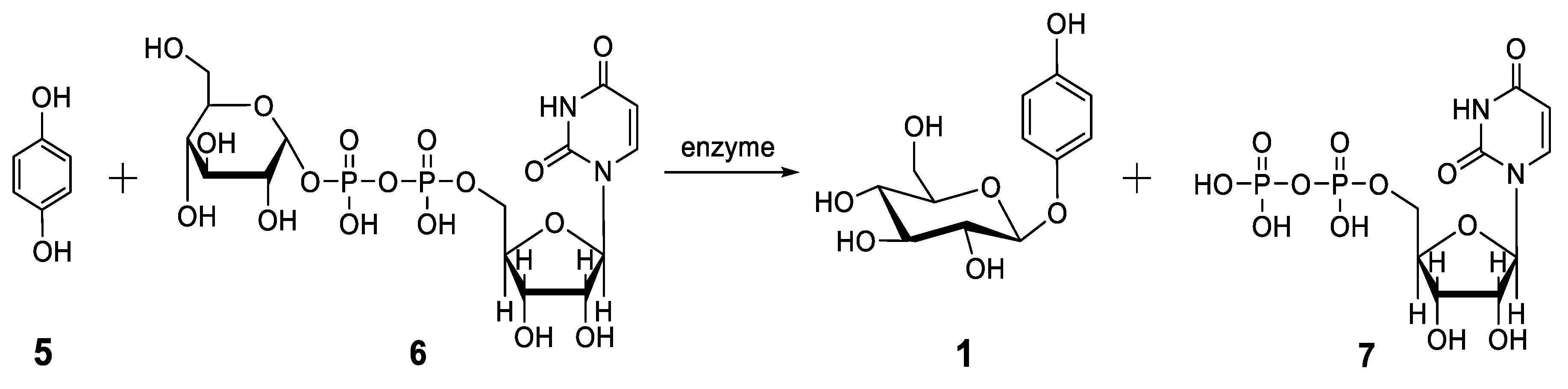 Molecules 24 03303 sch003 Molecules 24 03303 sch003