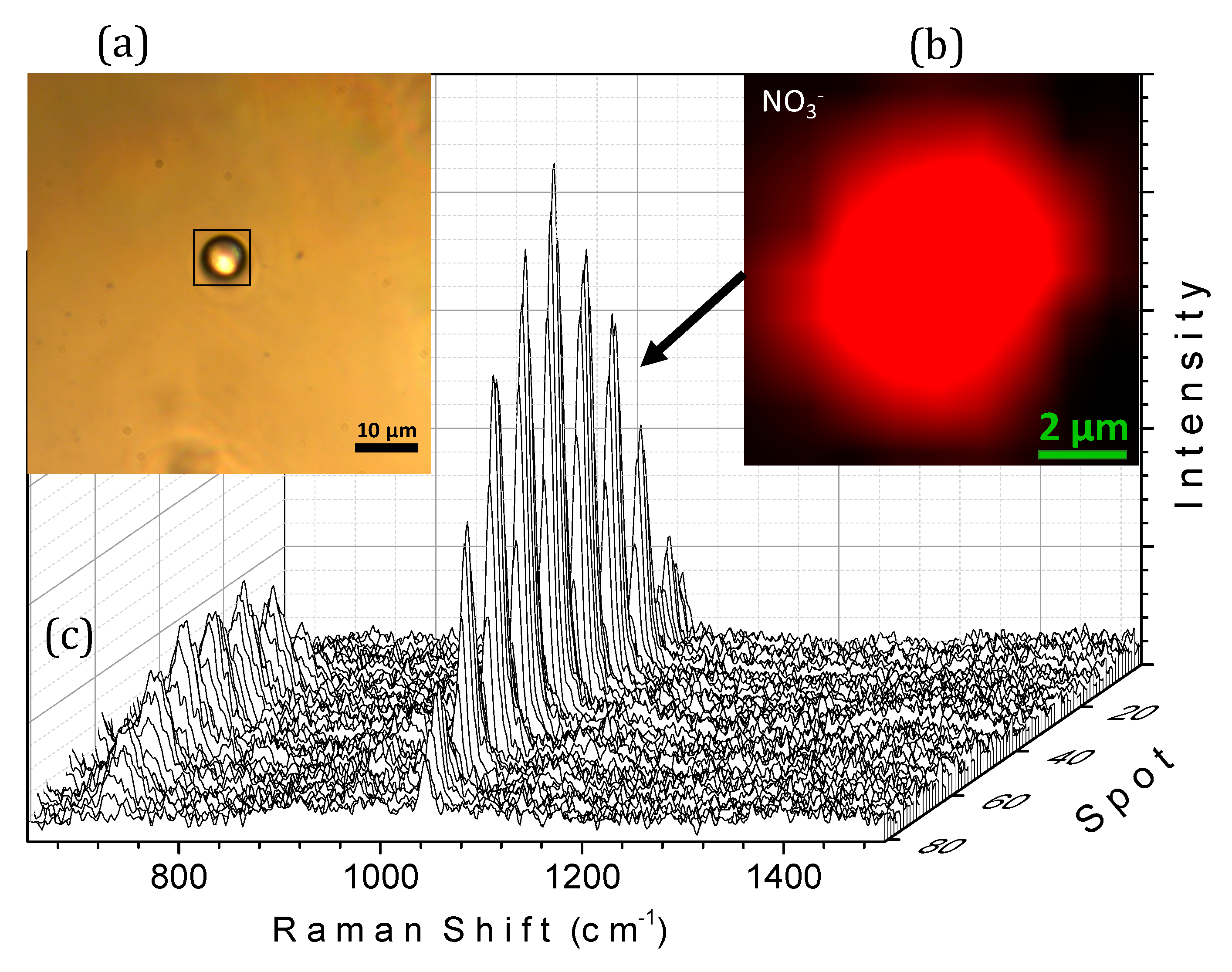 Molecules 24 03325 g004 Molecules 24 03325 g004
