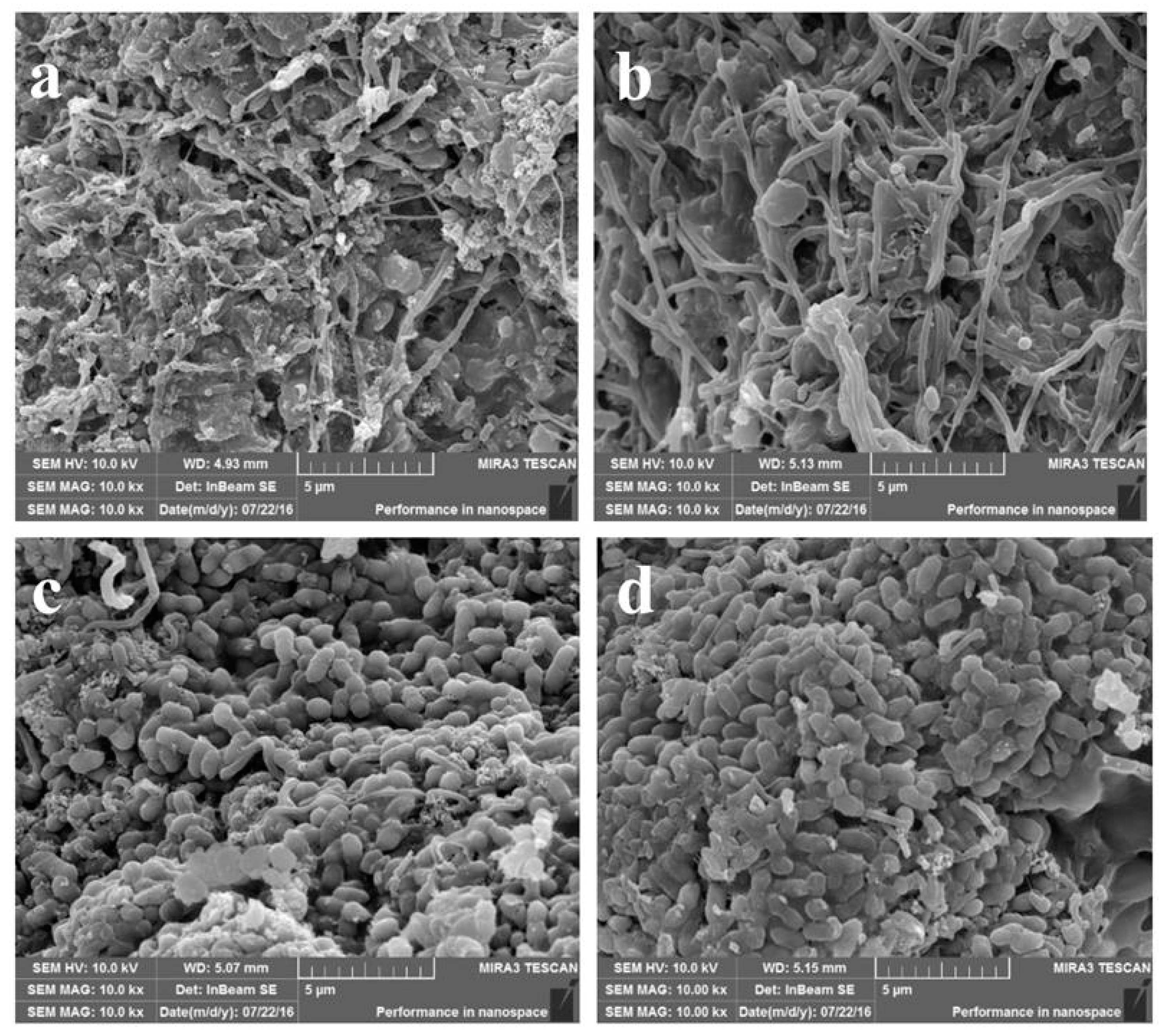 Molecules 24 03358 g004 Molecules 24 03358 g004