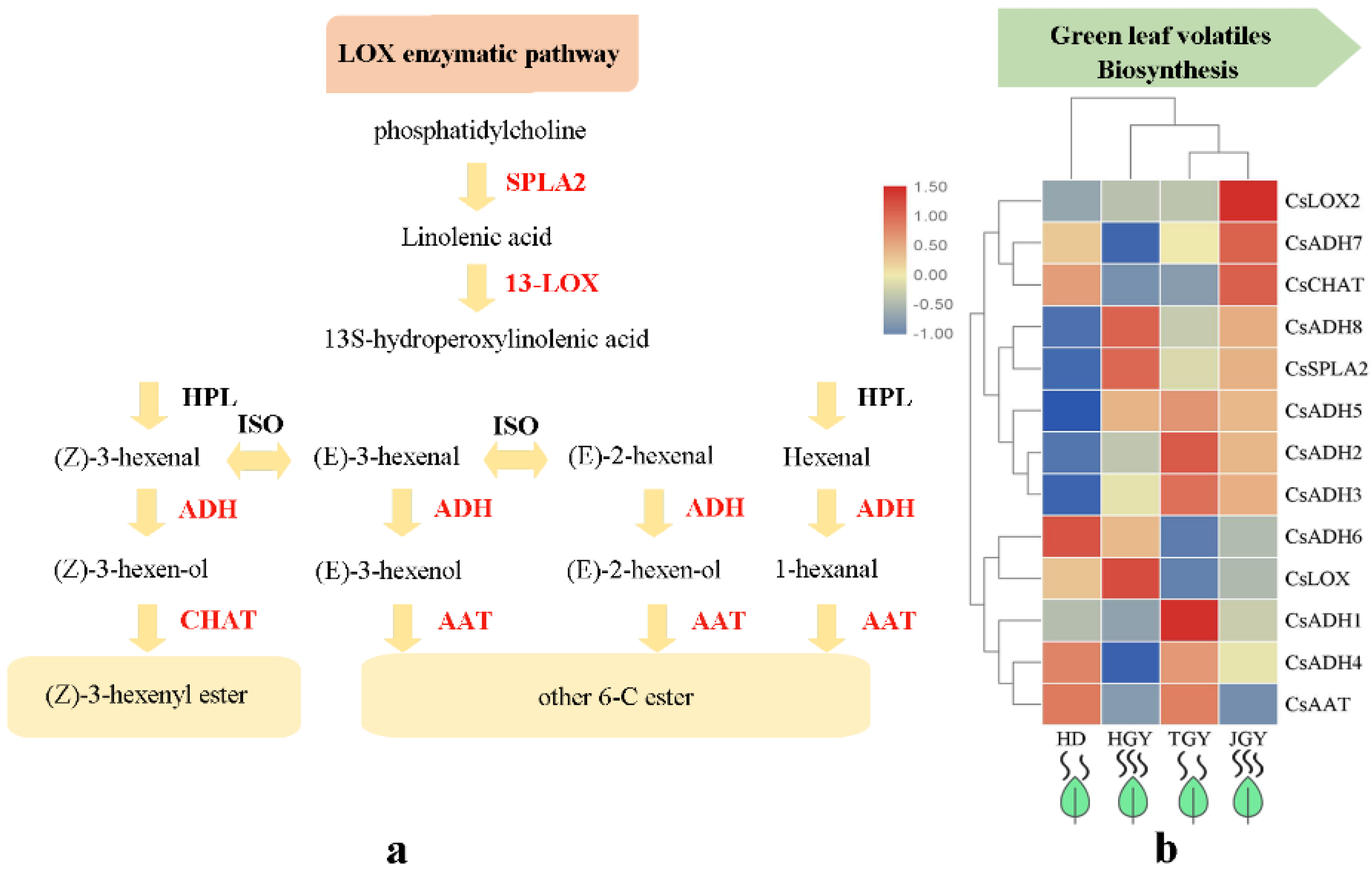 Molecules 24 03380 g005