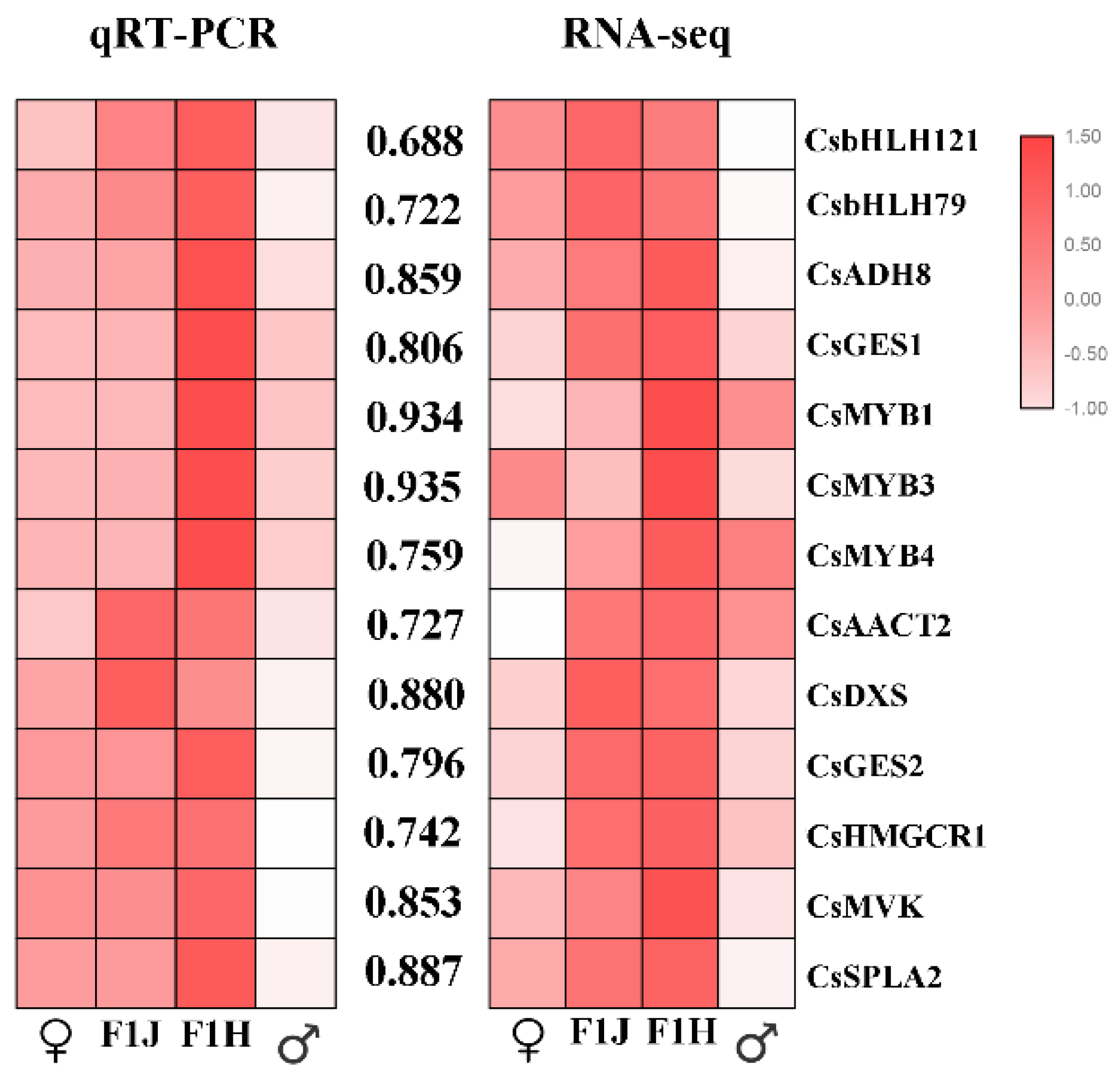 Molecules 24 03380 g008