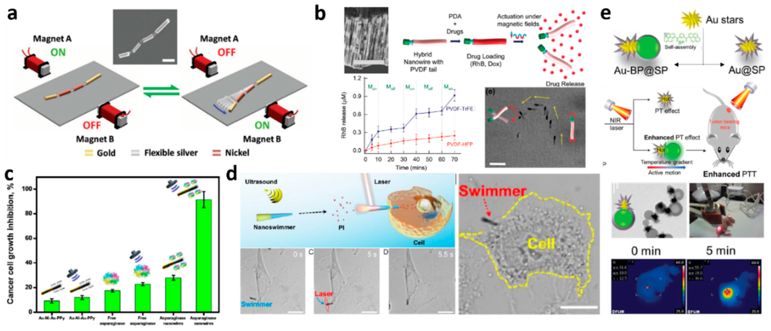 Molecules 24 03410 g002