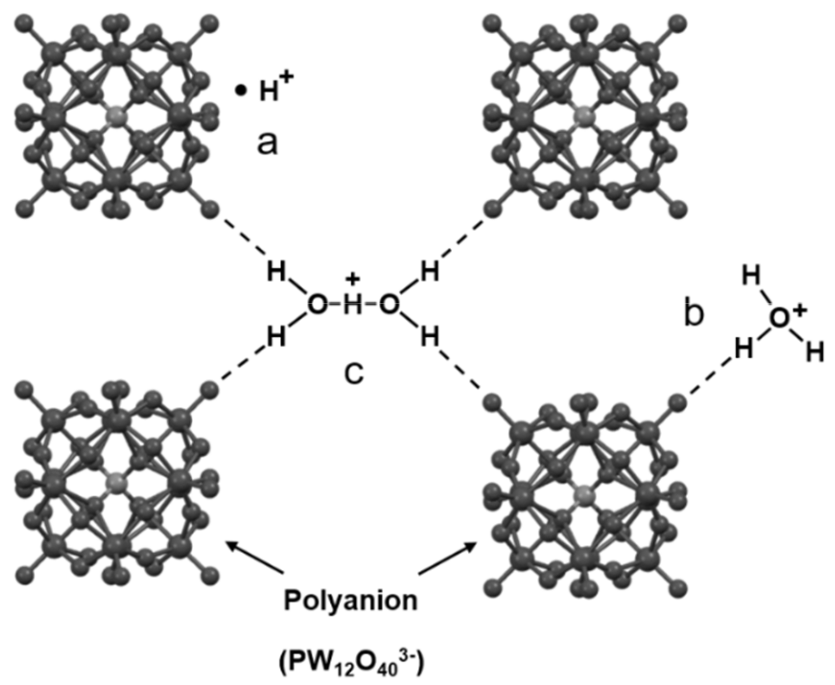 Molecules 24 03425 g002