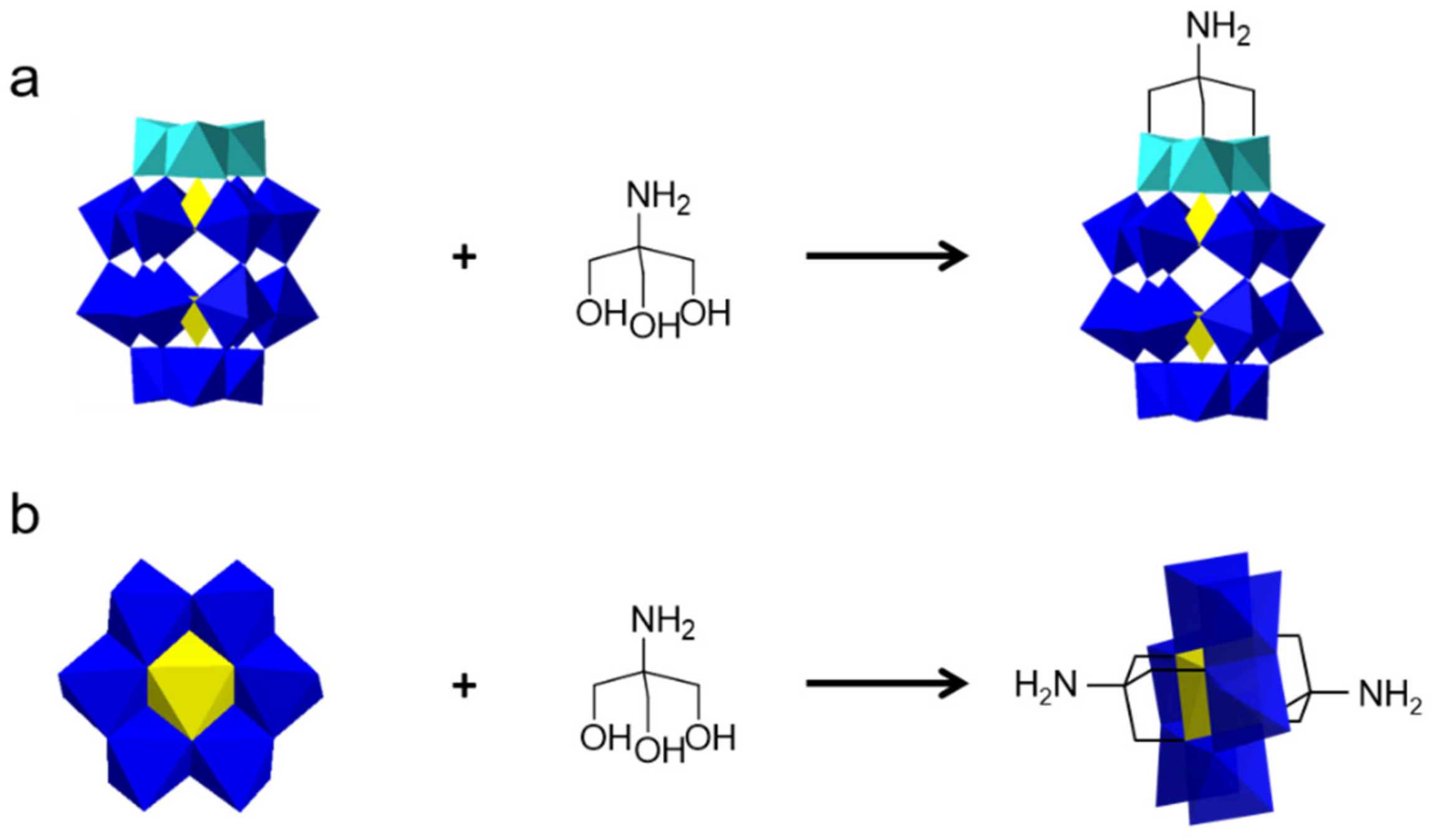 Molecules 24 03425 g006
