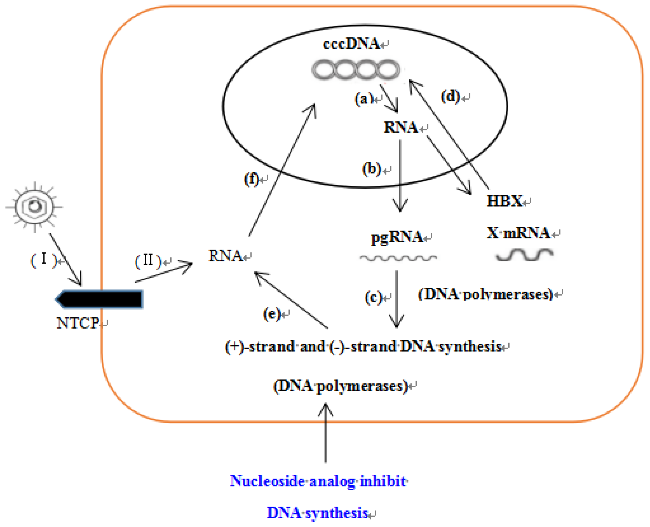 Molecules 24 03475 g010