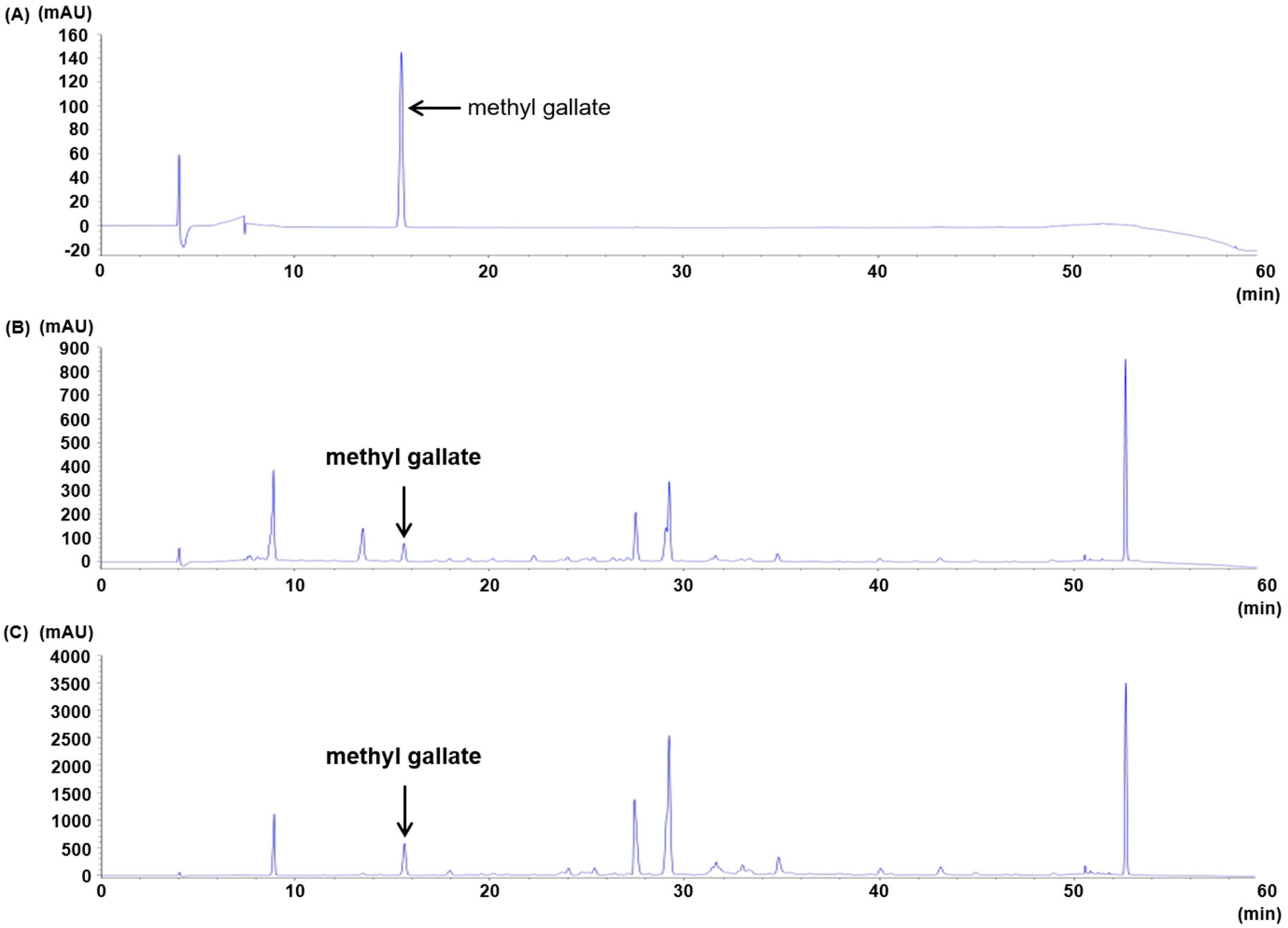 Molecules 24 03483 g002 Molecules 24 03483 g002
