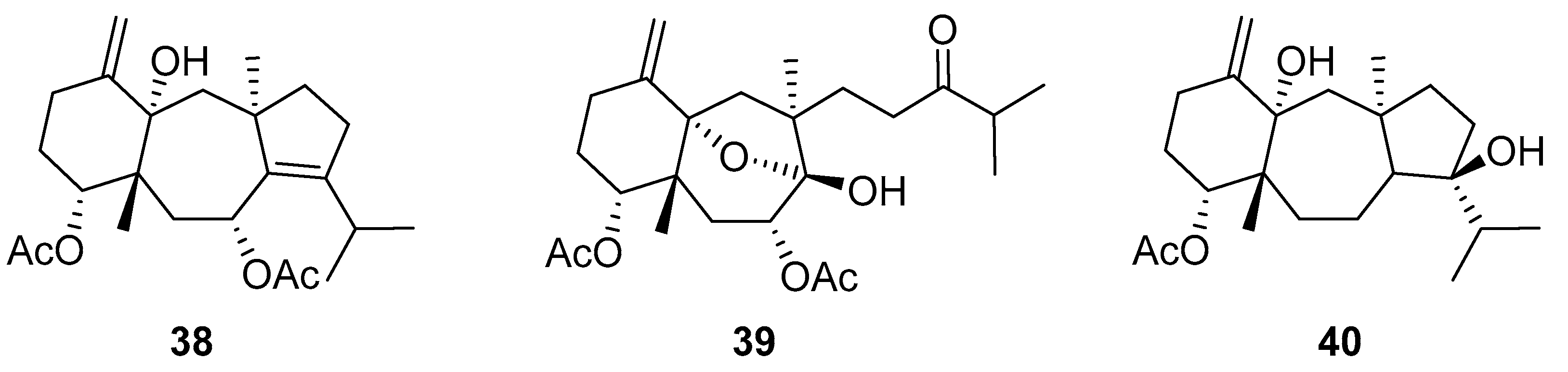 Molecules 24 03486 g016