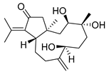 Molecules 24 03486 i035
