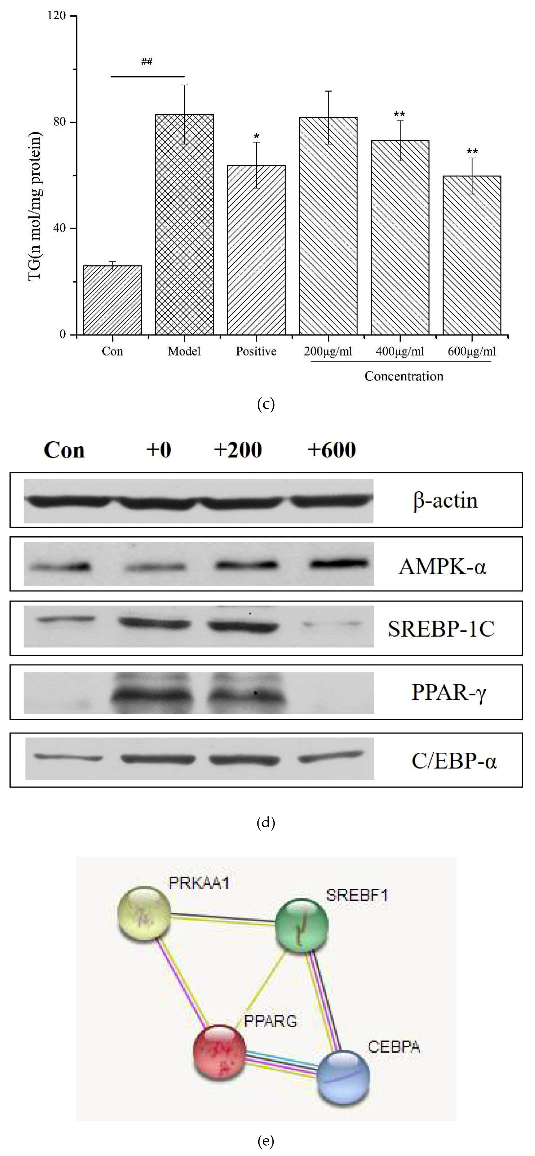 Molecules 24 03527 g003b Molecules 24 03527 g003b