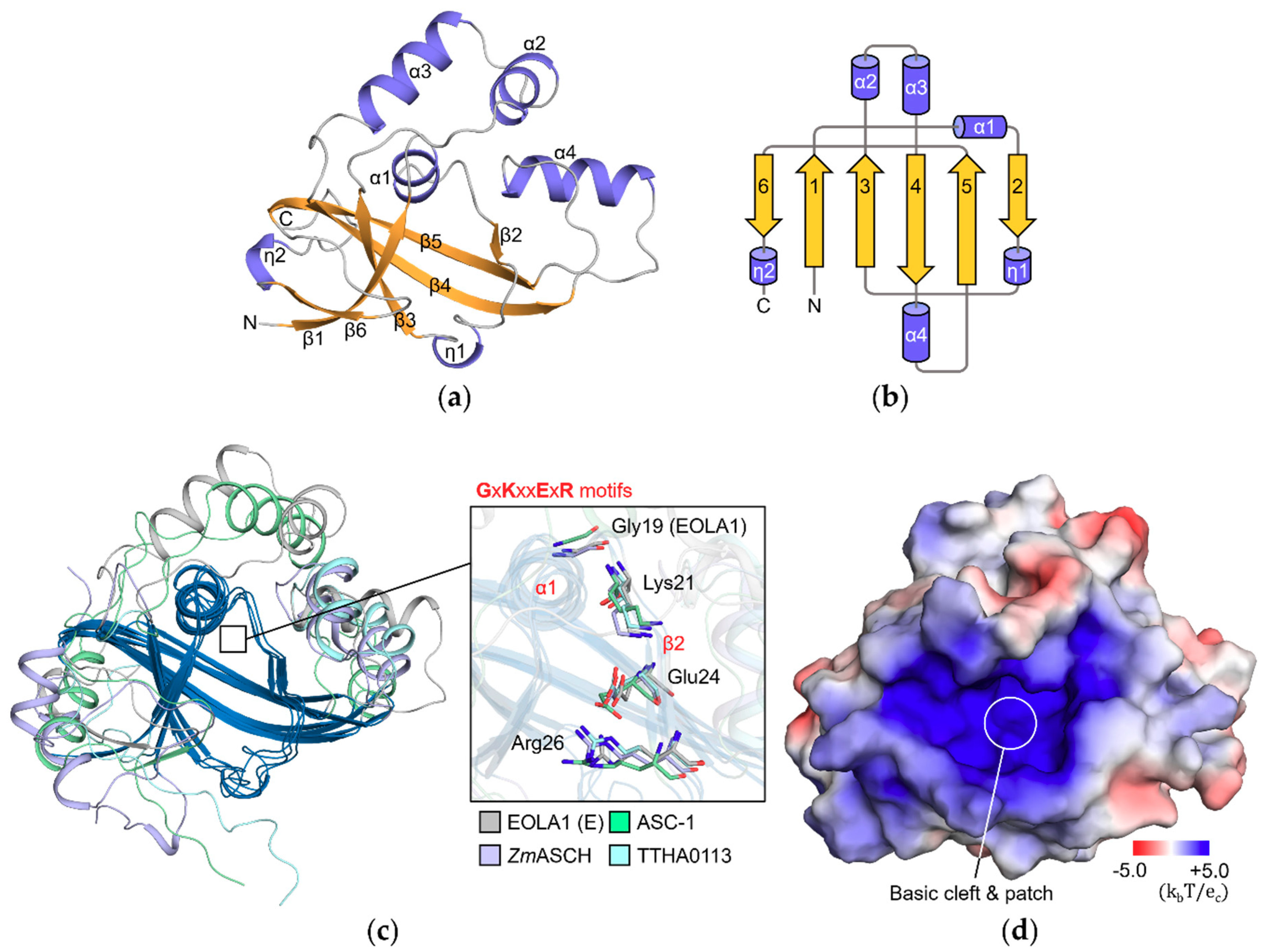 Molecules 24 03529 g001