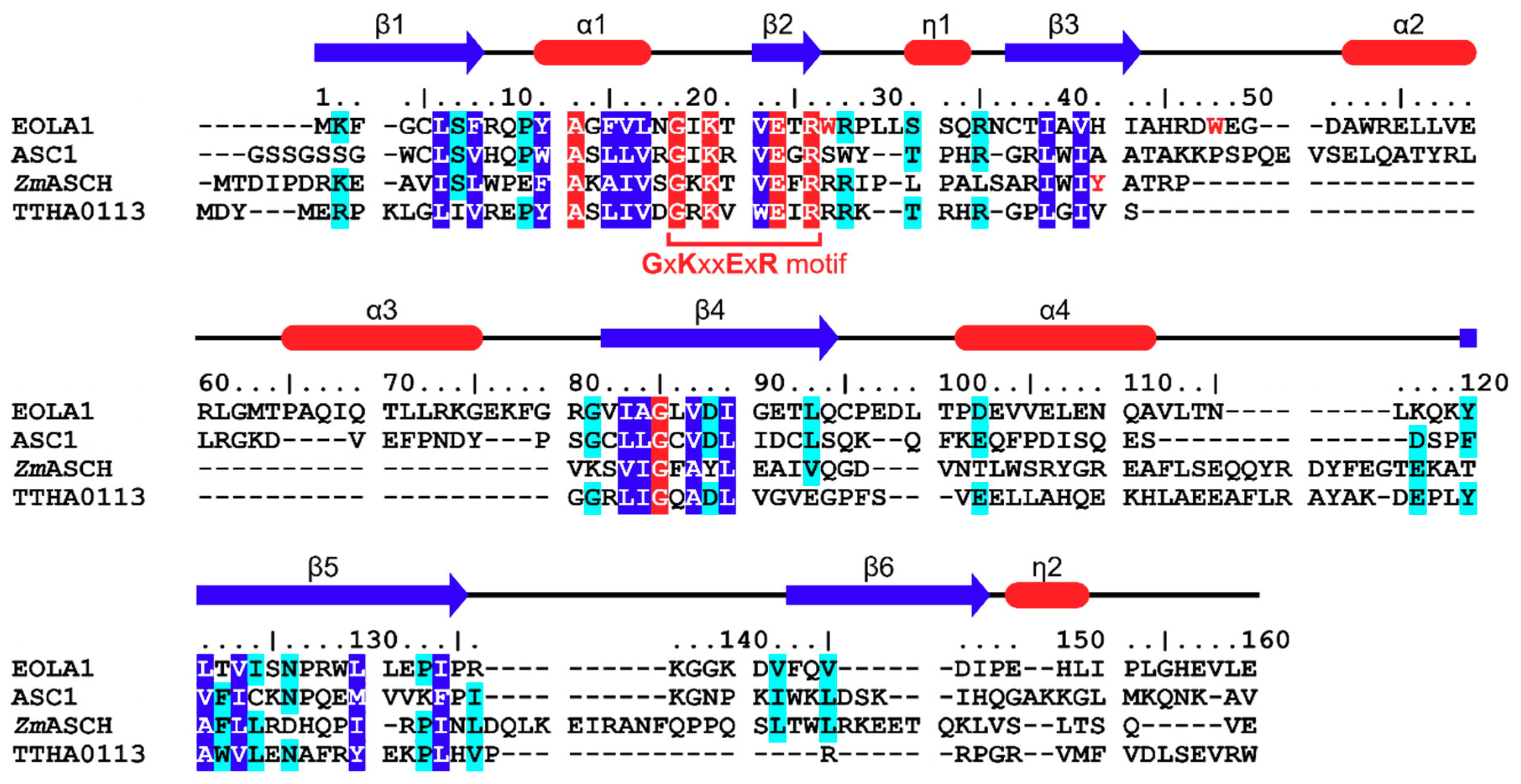 Molecules 24 03529 g002