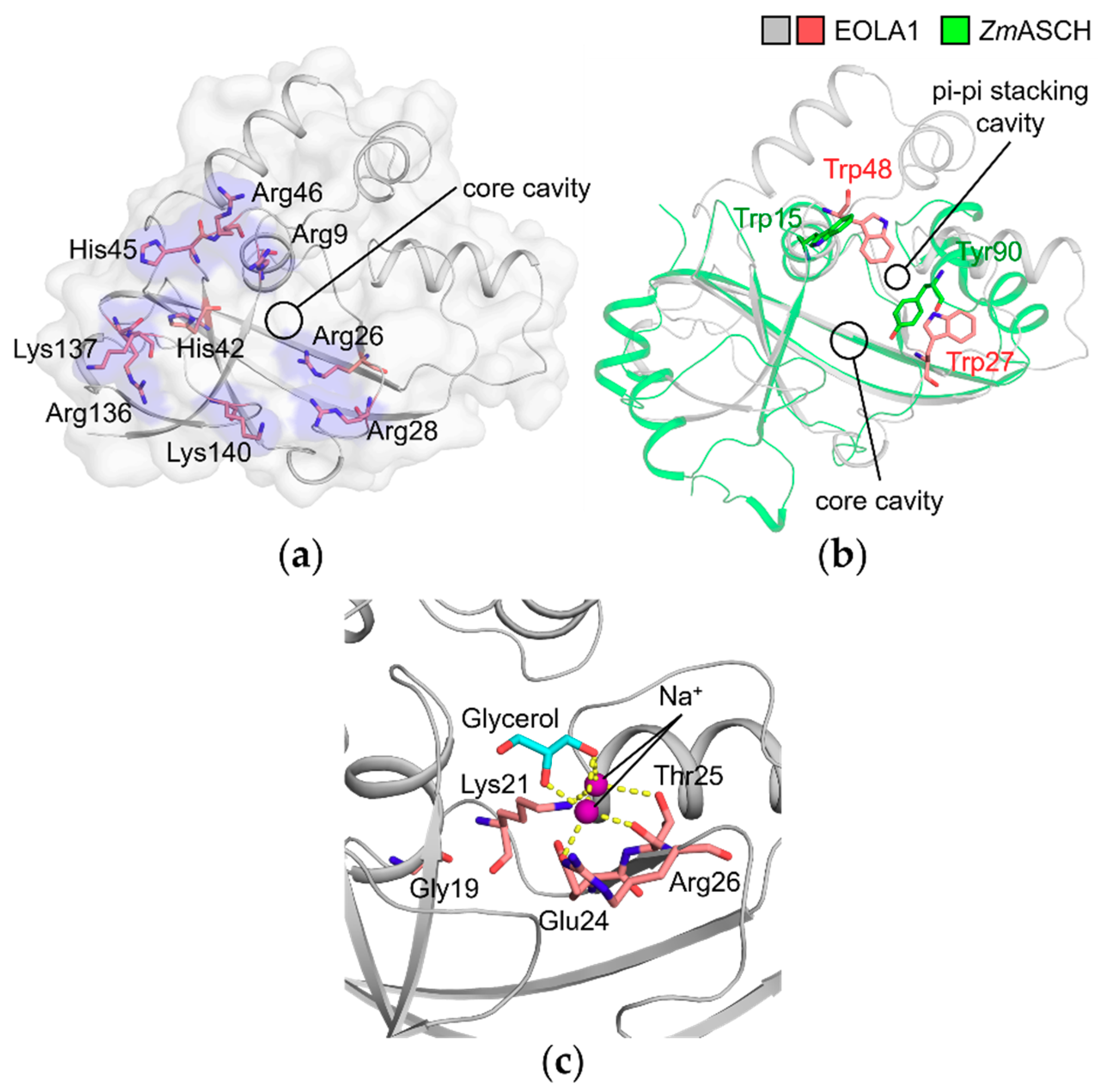 Molecules 24 03529 g005