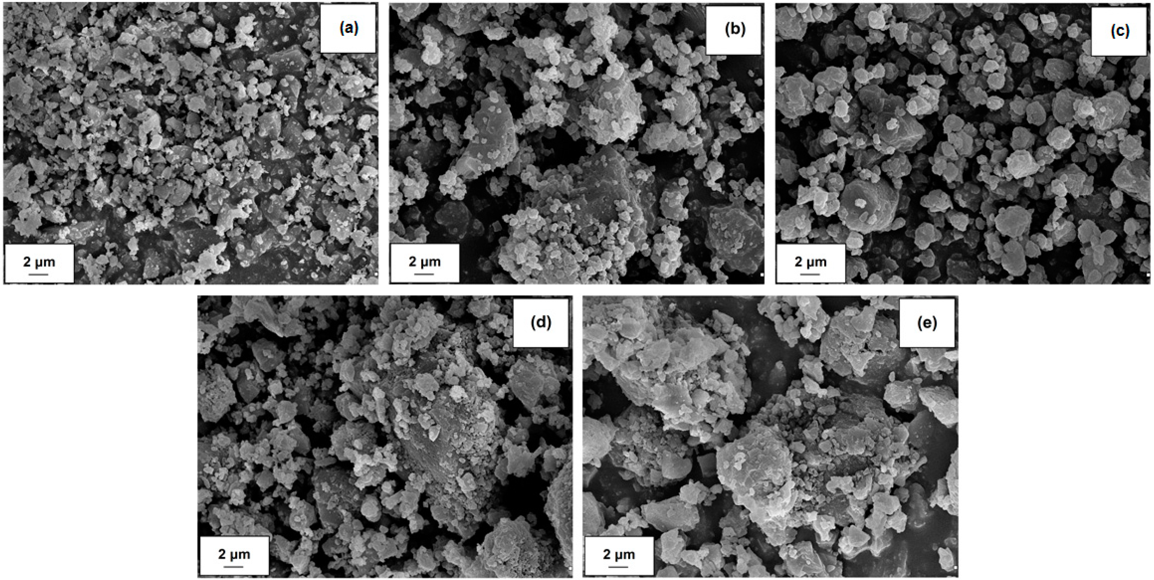 Molecules 24 03544 g003
