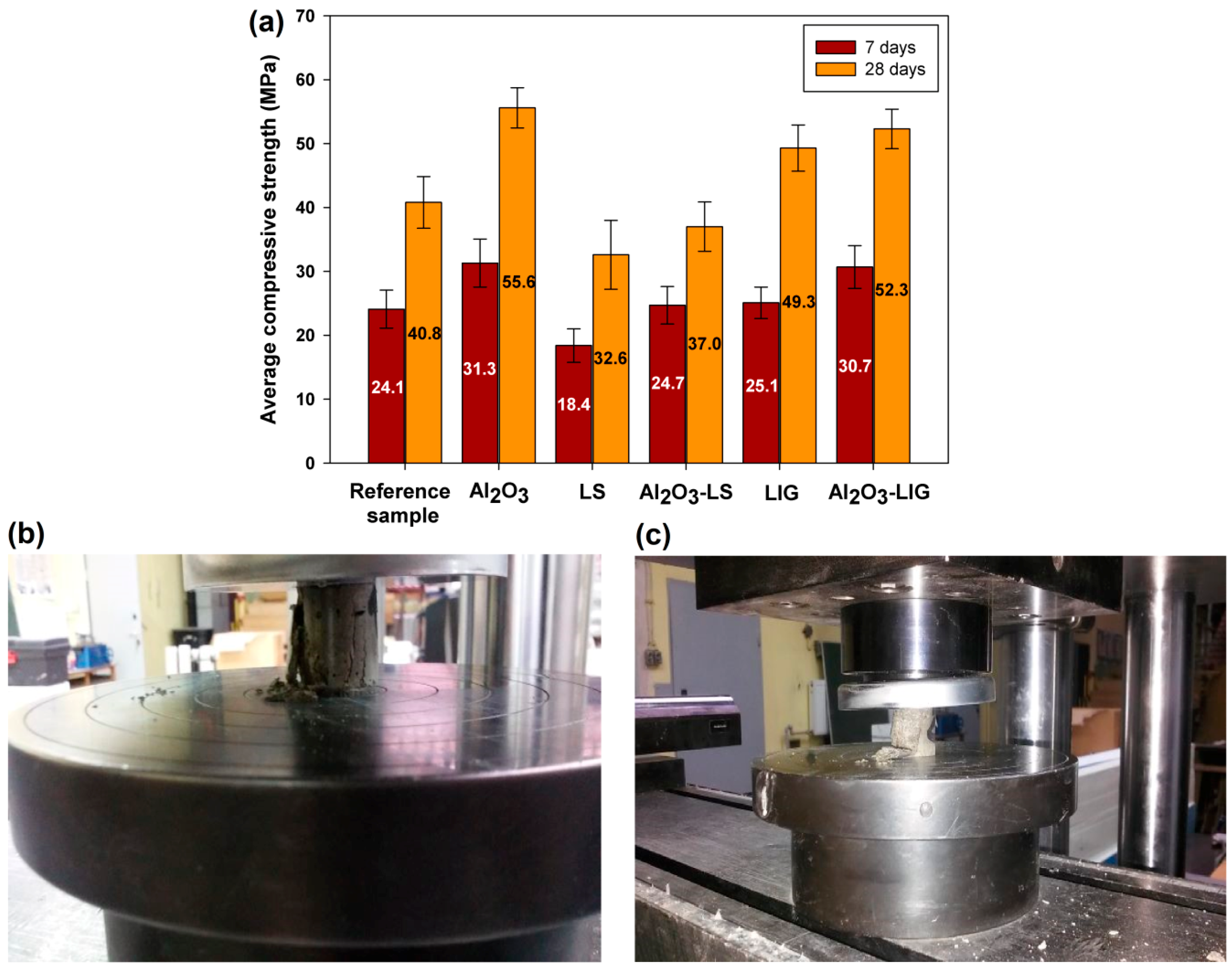 Molecules 24 03544 g006