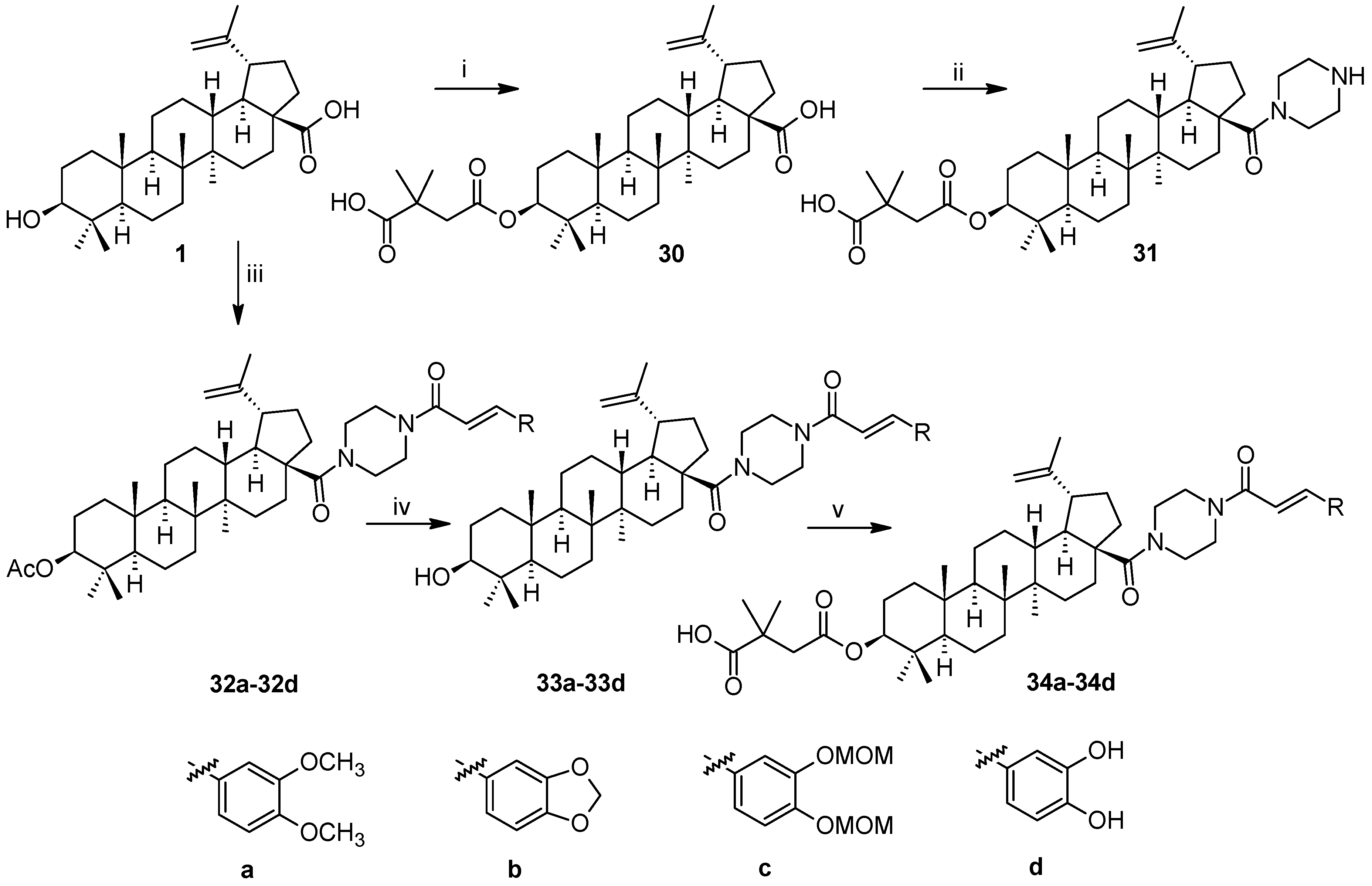 Molecules Free Full Text Recent Achievements In Medicinal And Supramolecular Chemistry Of Betulinic Acid And Its Derivatives Html