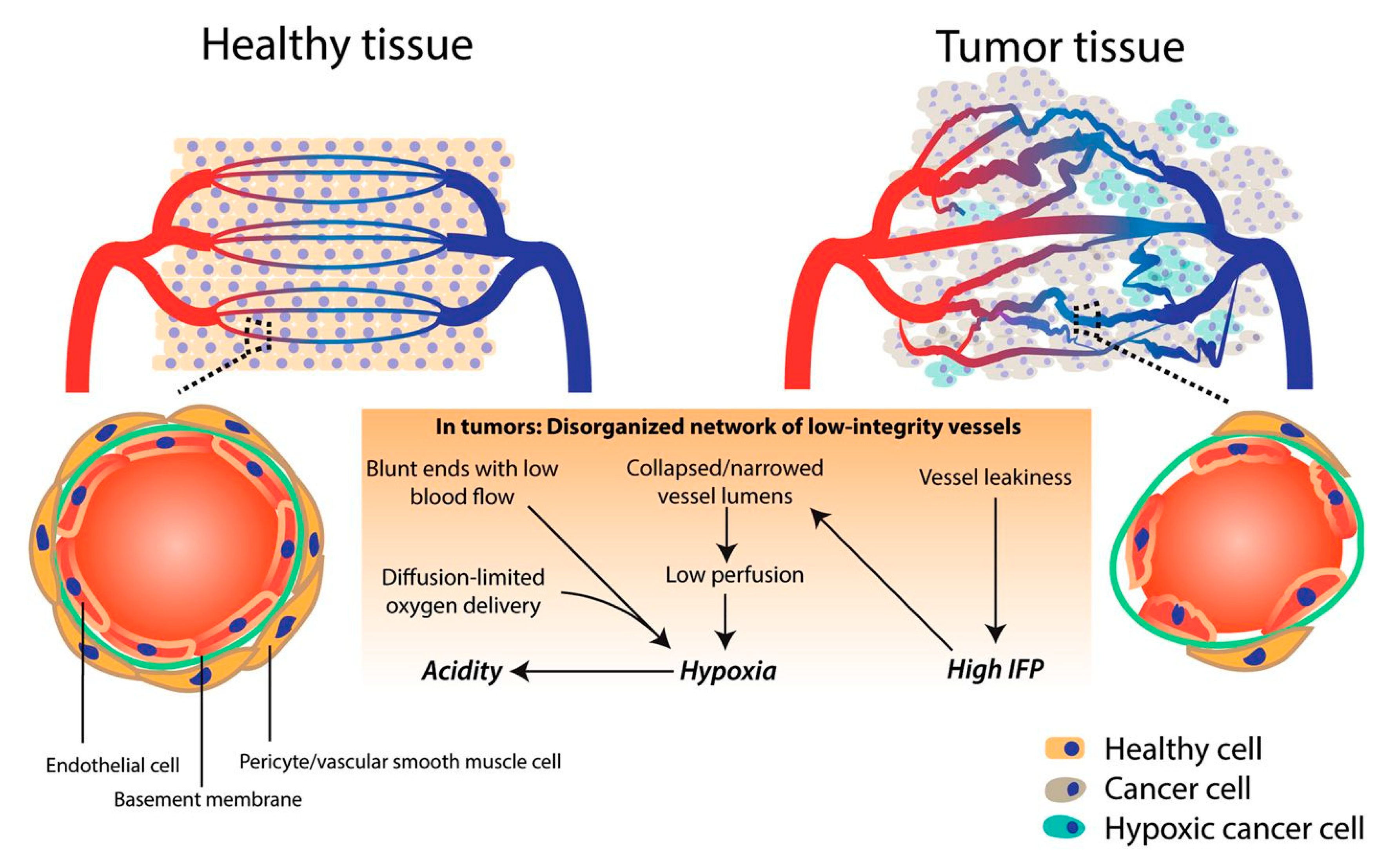 Molecules 24 03547 g001 Molecules 24 03547 g001