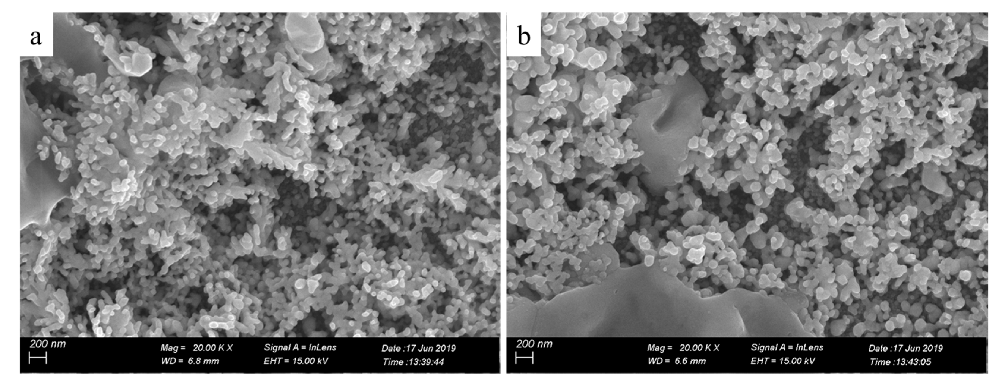 Molecules 24 03548 g004 Molecules 24 03548 g004