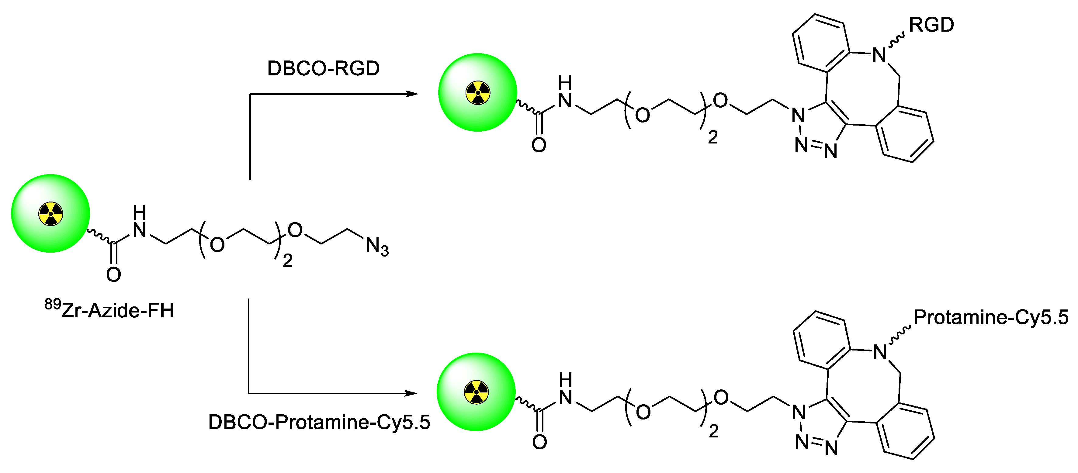 Molecules 24 03567 g007 Molecules 24 03567 g007
