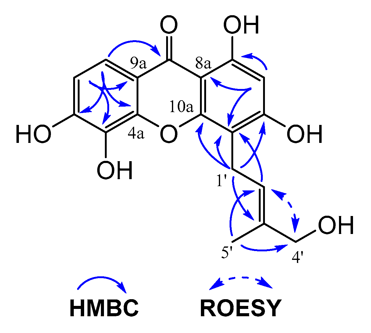 Molecules 24 03568 g001 Molecules 24 03568 g001