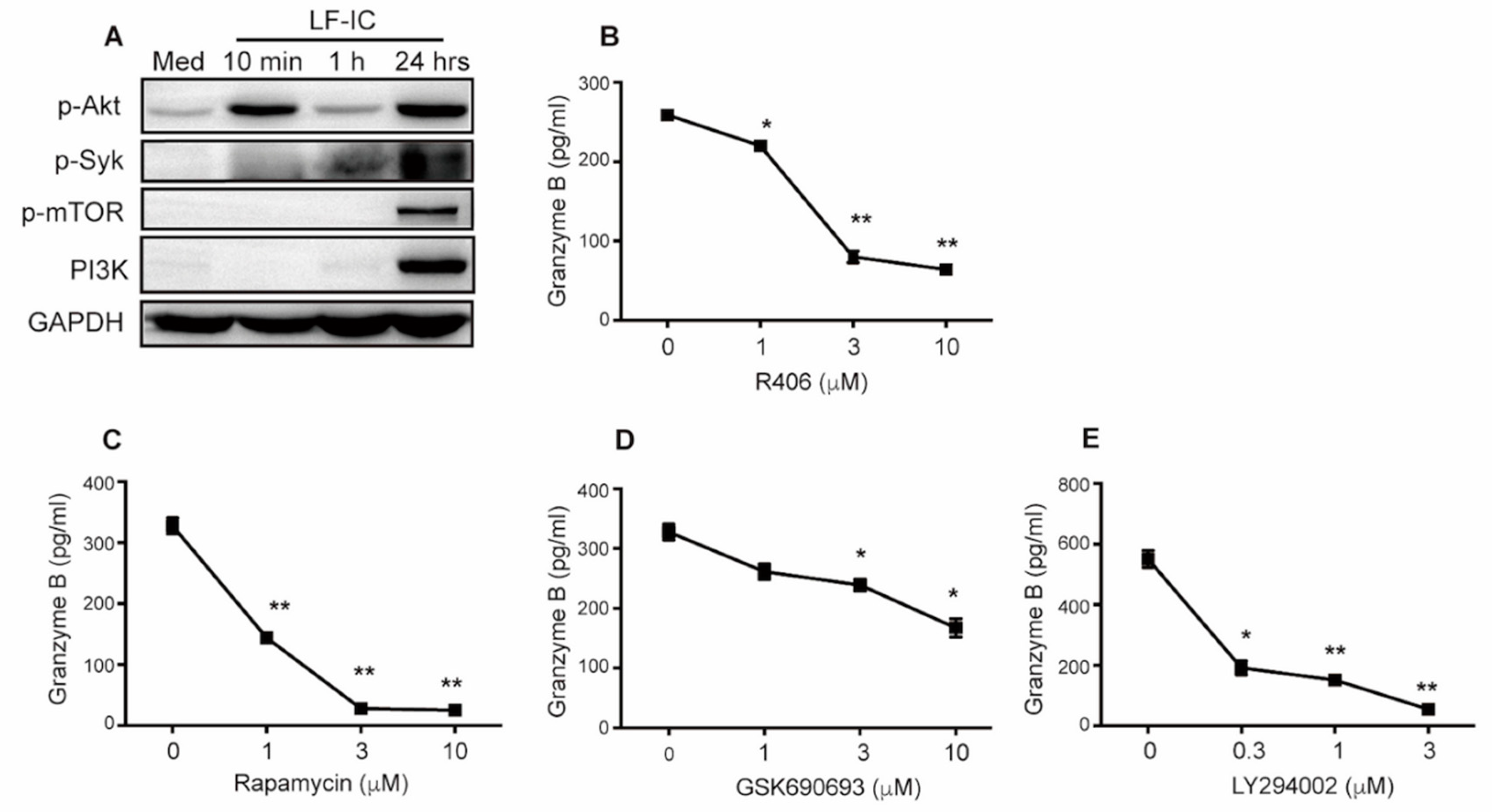 Molecules 24 03640 g005