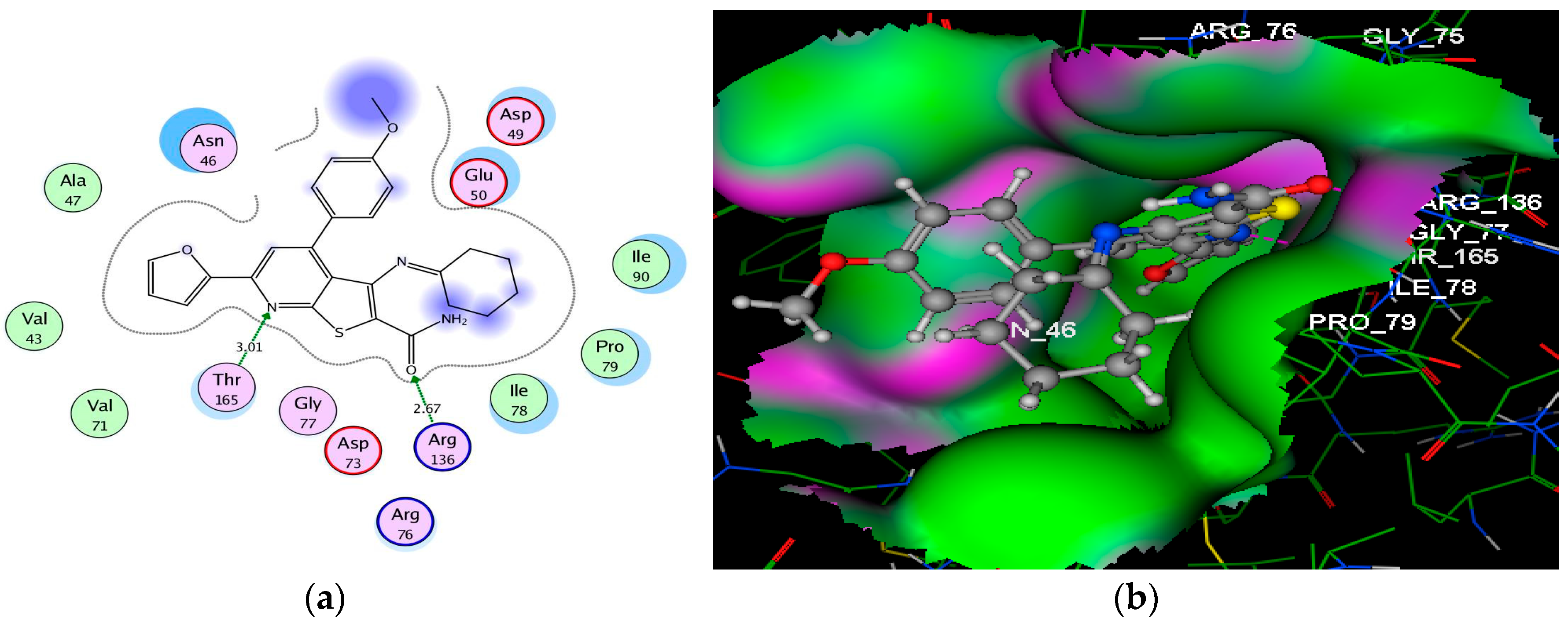 Molecules 24 03650 g004 Molecules 24 03650 g004