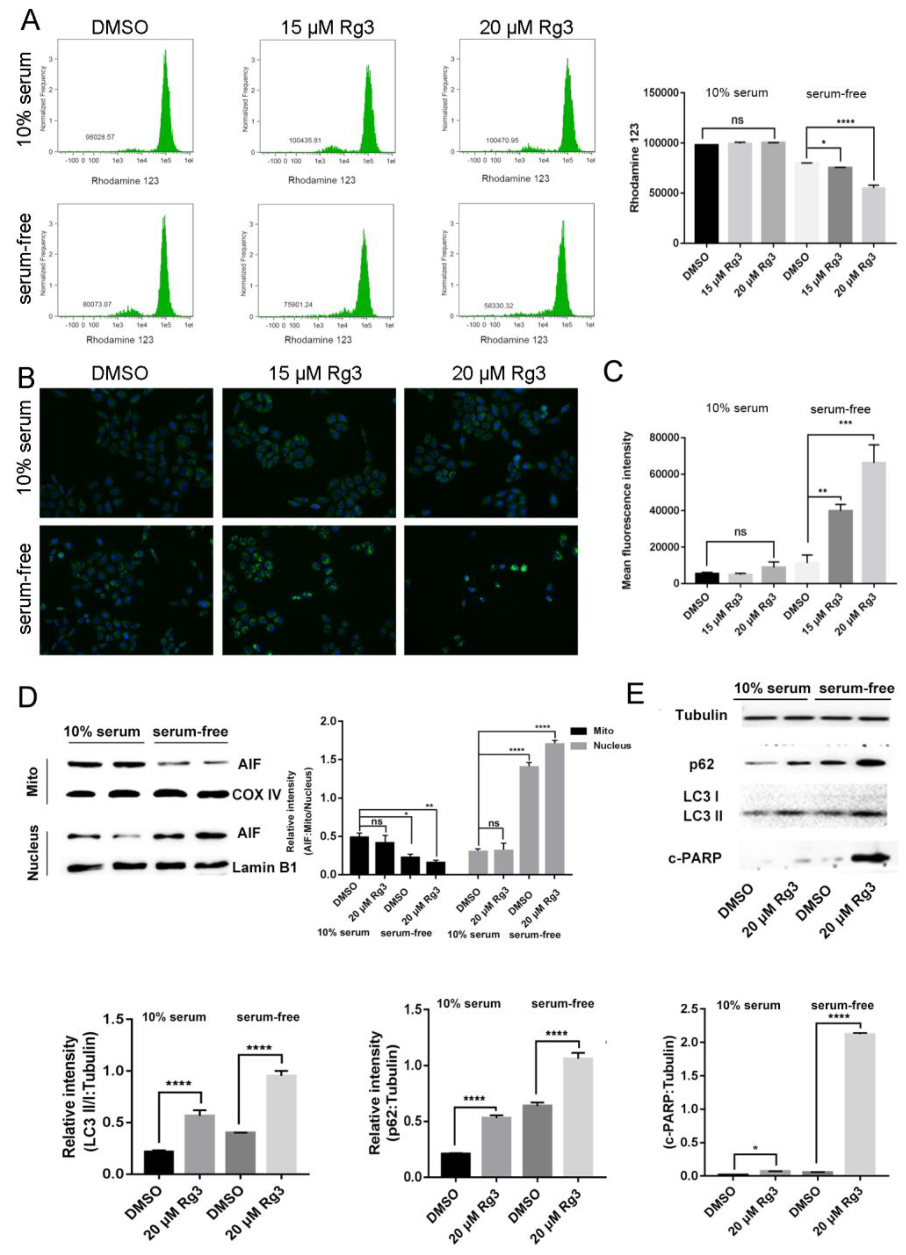Molecules 24 03655 g003